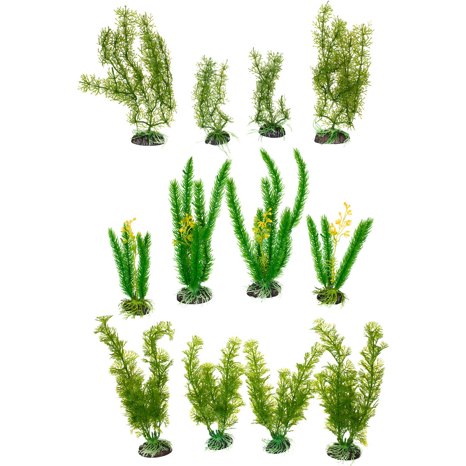 Petco clearance aquarium plants