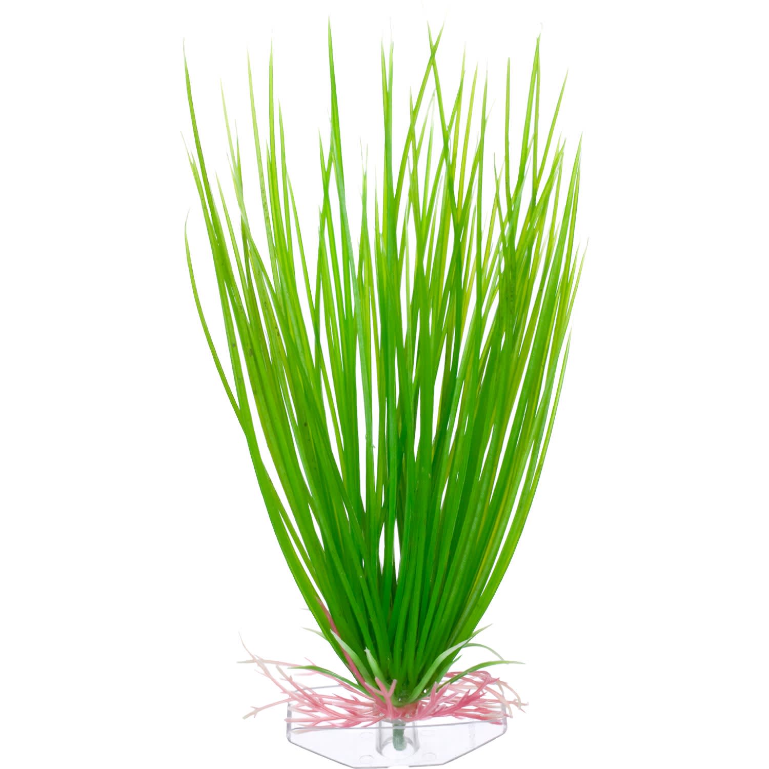 Imagitarium Green Hair Grass Aquarium Plant for Fish