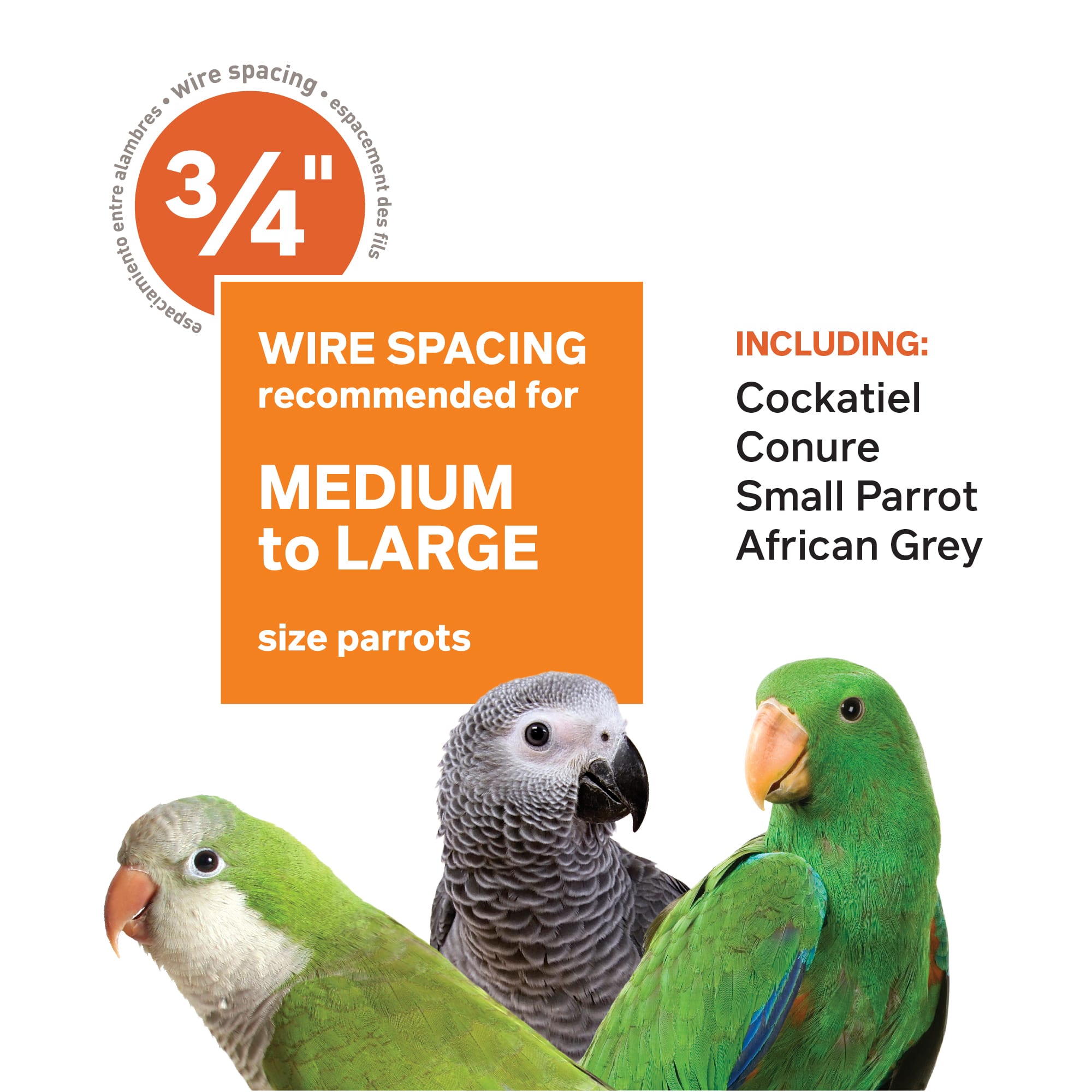 Prevue Pet Products Signature Select Series Wrought Iron Bird Cage in Chalk White, X-Large