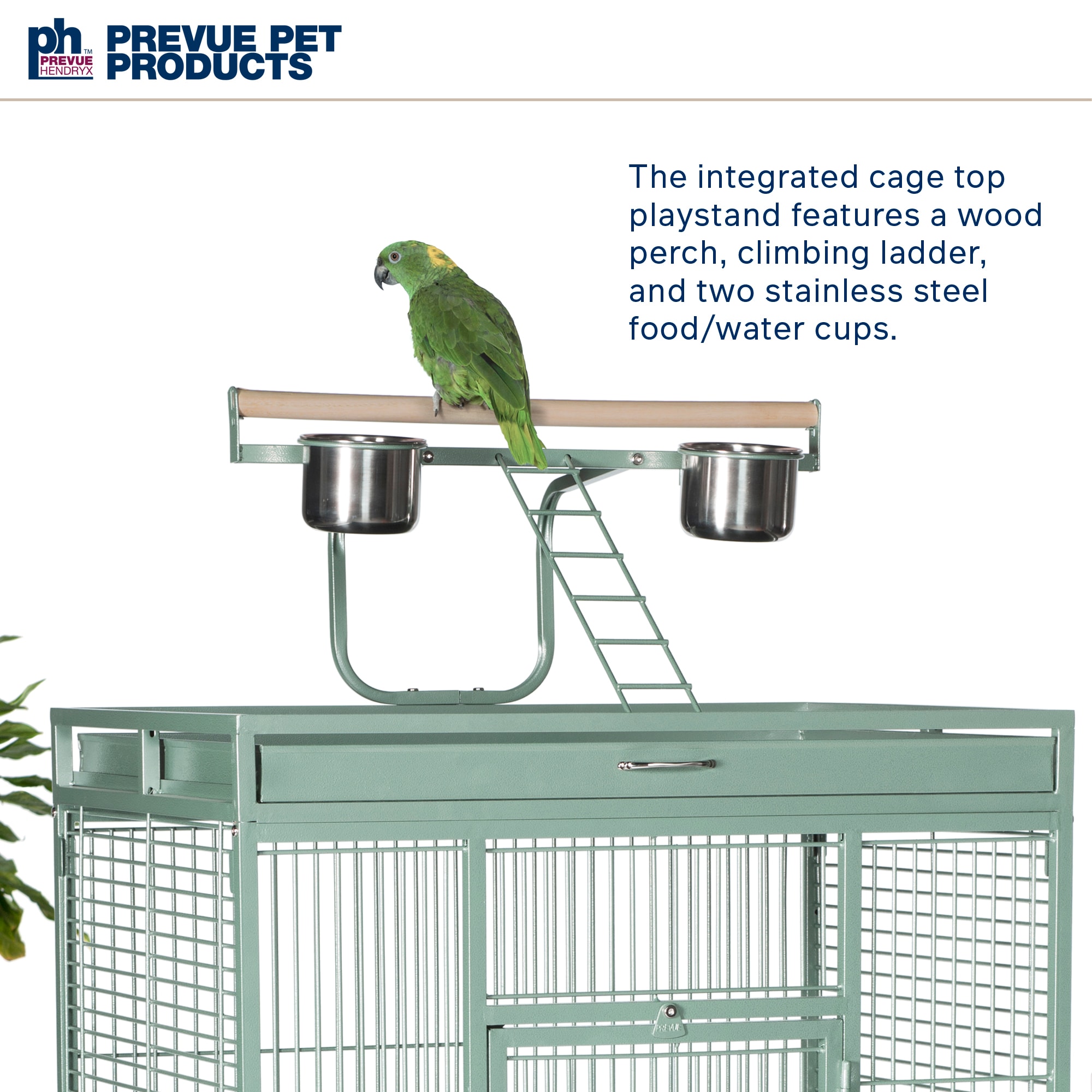 Prevue Hendryx Prevue Hendryx PP-3152COCO Medium Wrought Iron Select Bird  Cage - Coco Brown PP-3152COCO