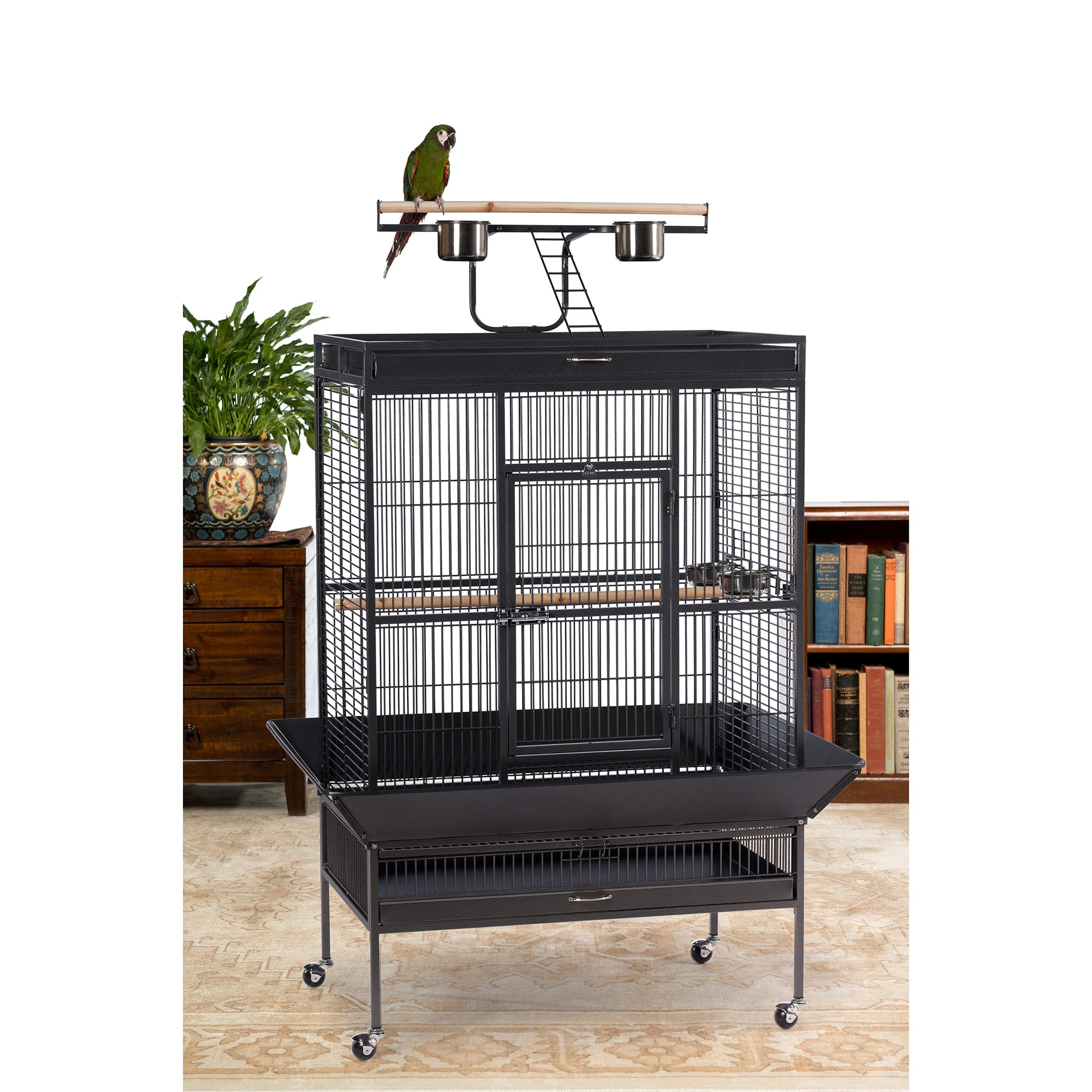 Conure cage petco sale