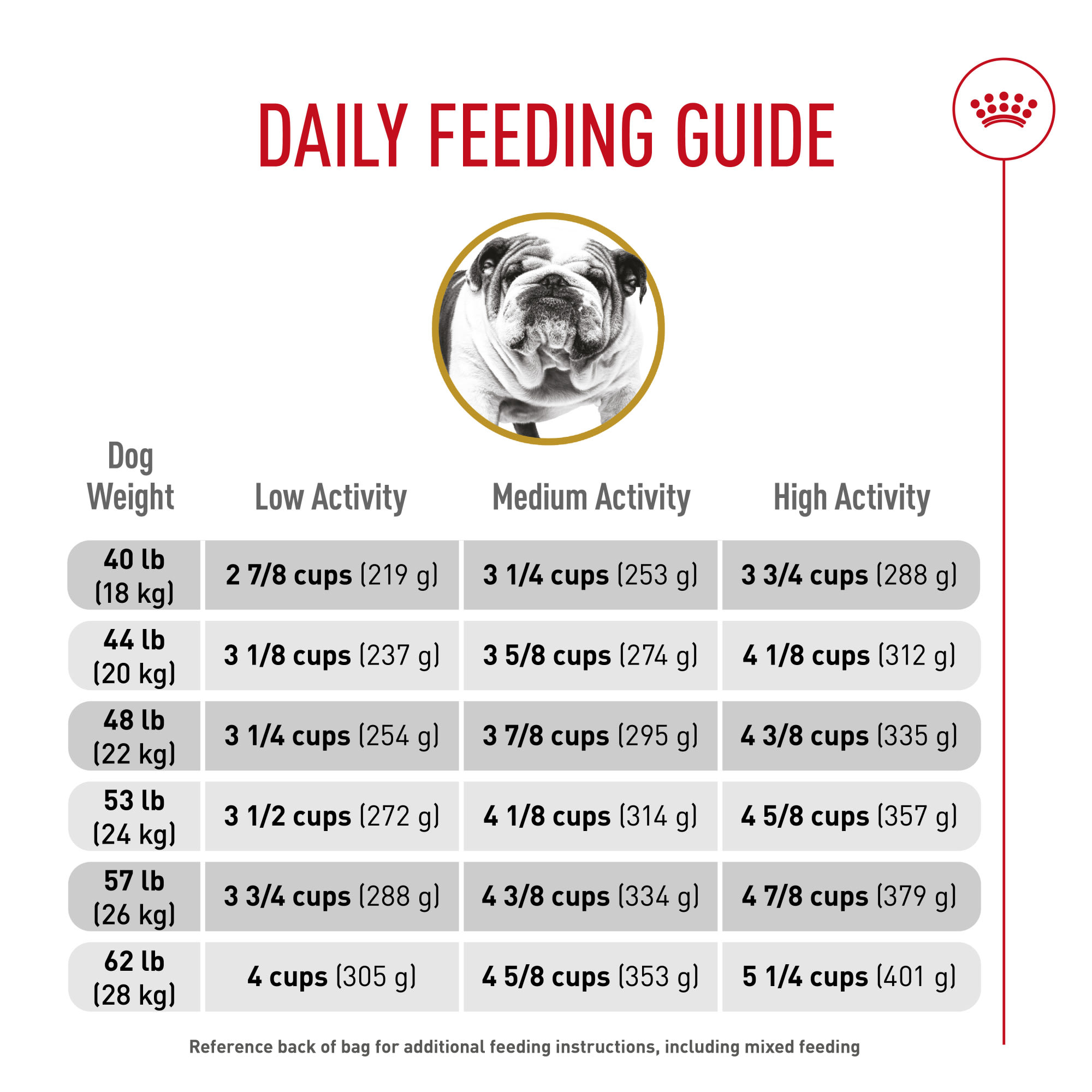Ultimate Bulldog Puppy Feeding Chart for Healthy Growth