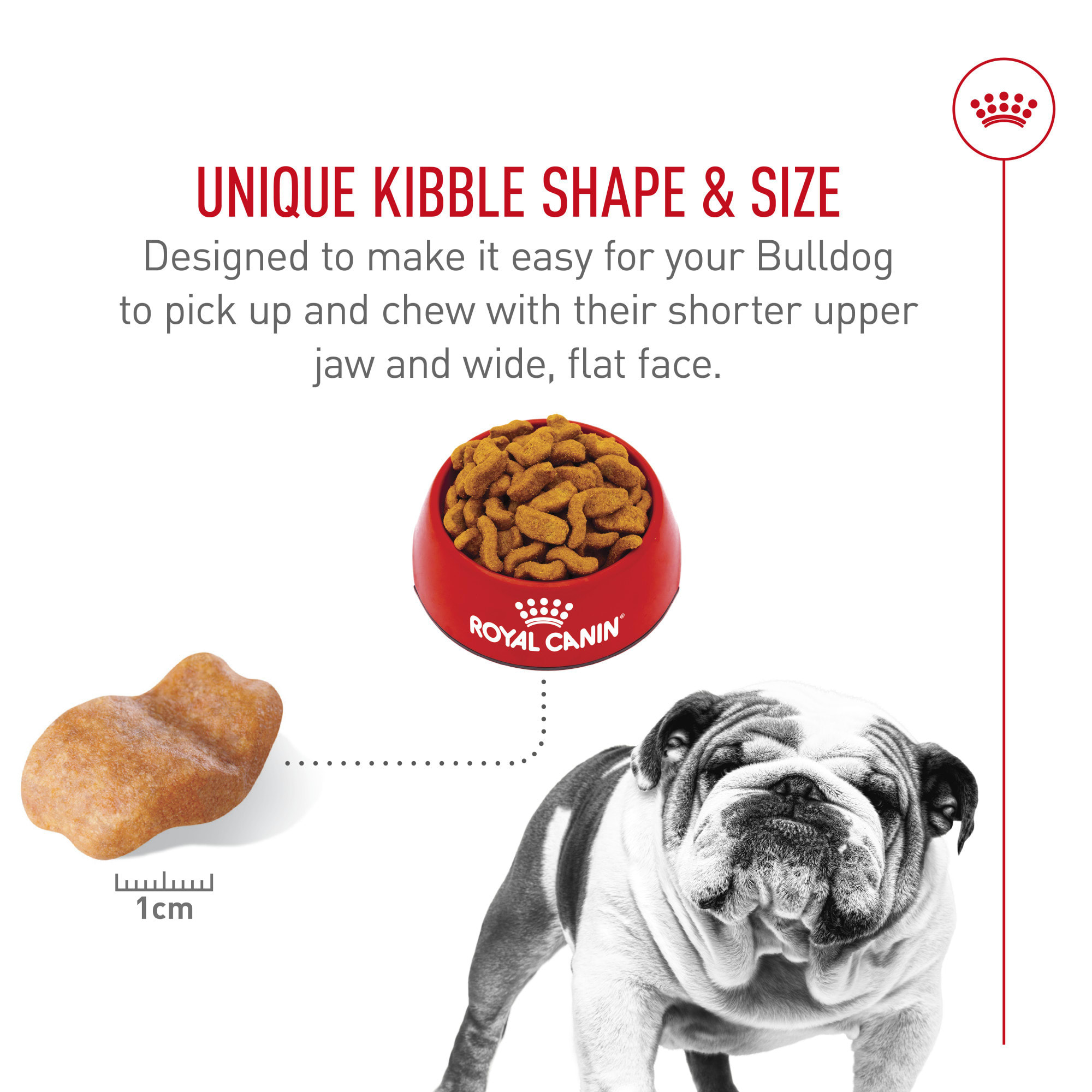 Royal Canin Breed Health Nutrition Bulldog Adult Dry Dog Food, 30