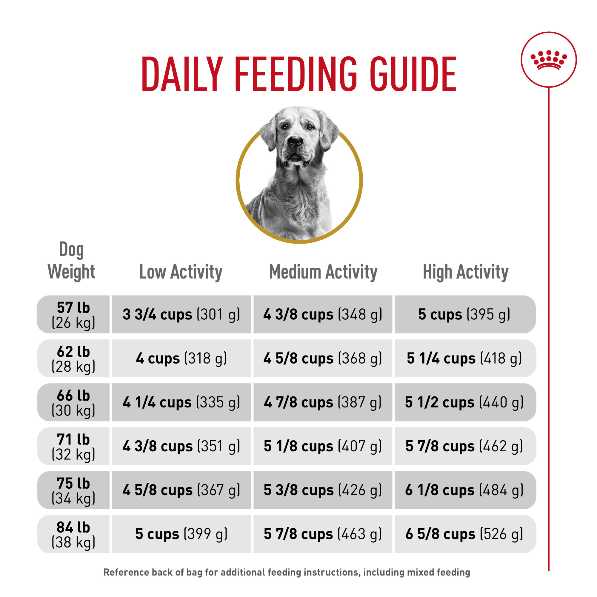 Royal Canin Breed Health Nutrition Golden Retriever Adult Dry Dog