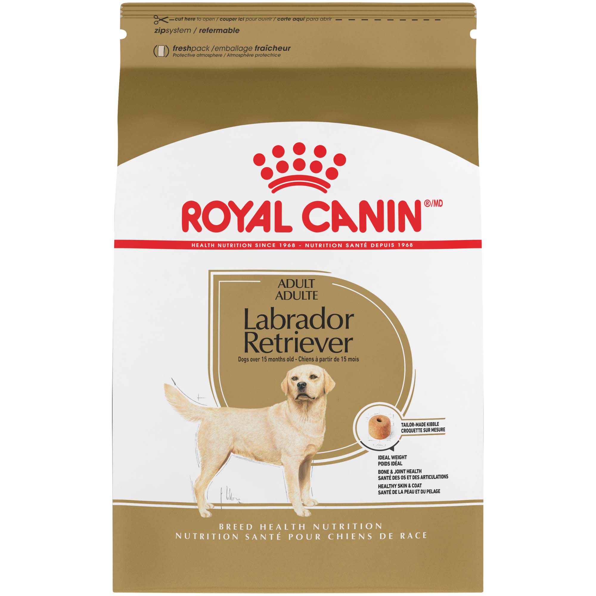 Labrador puppy food store recommendations