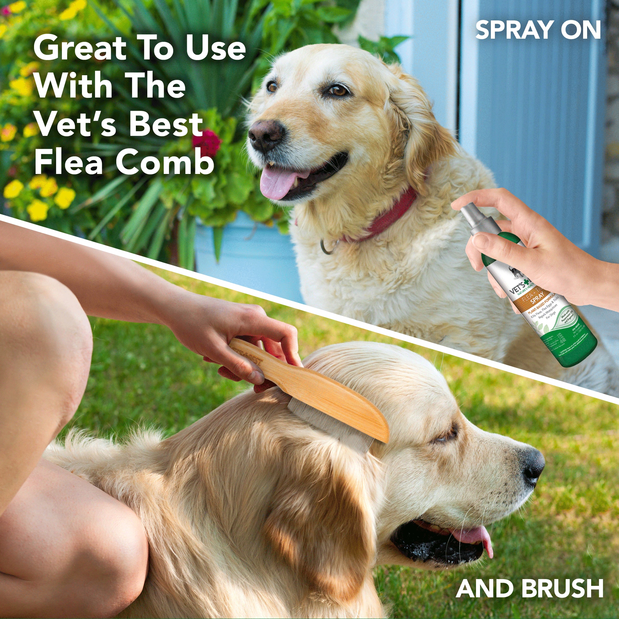 What is the best shop flea spray for dogs