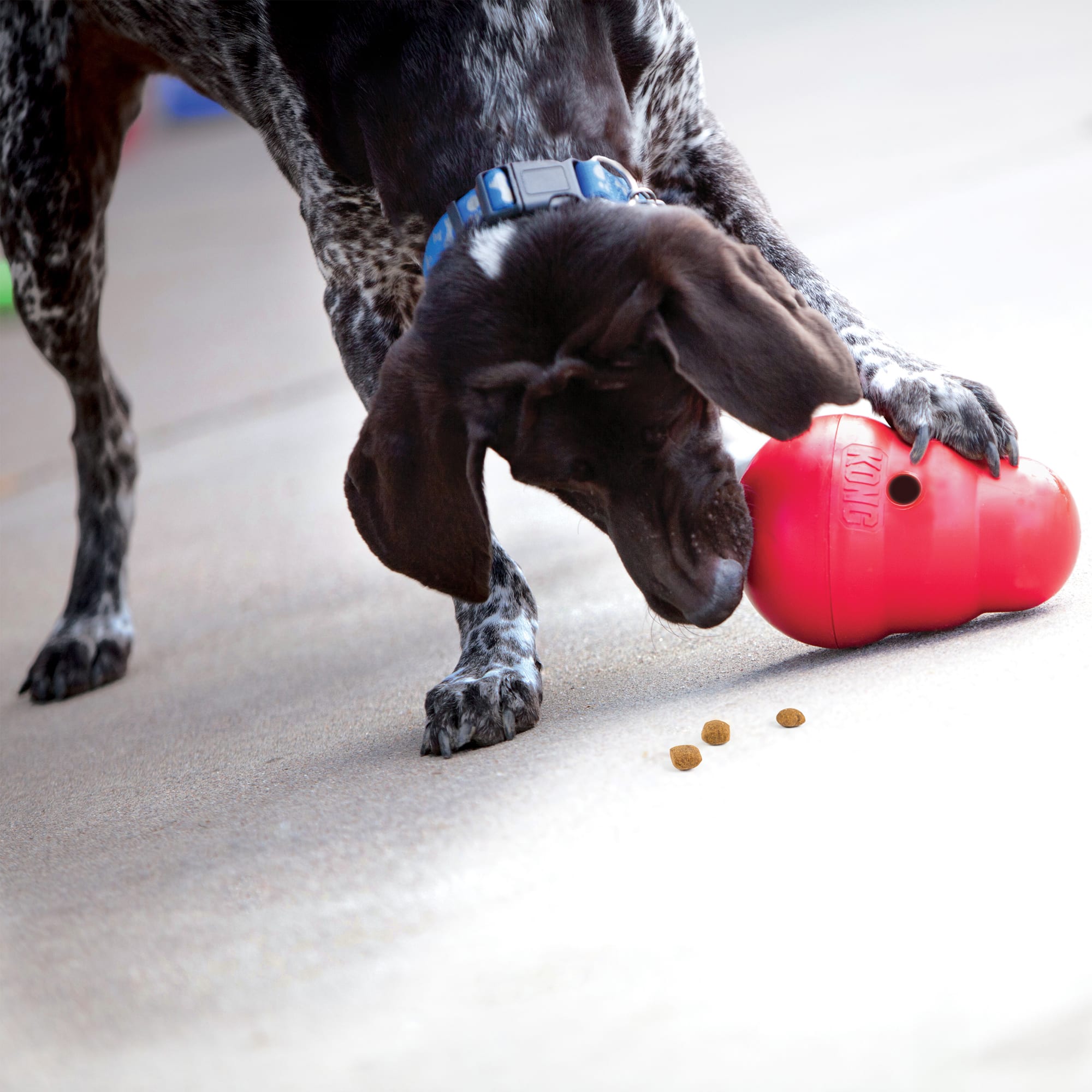 KONG Treat Dispenser Bamboo Feeder Ball Dog Toy, Medium, Petco