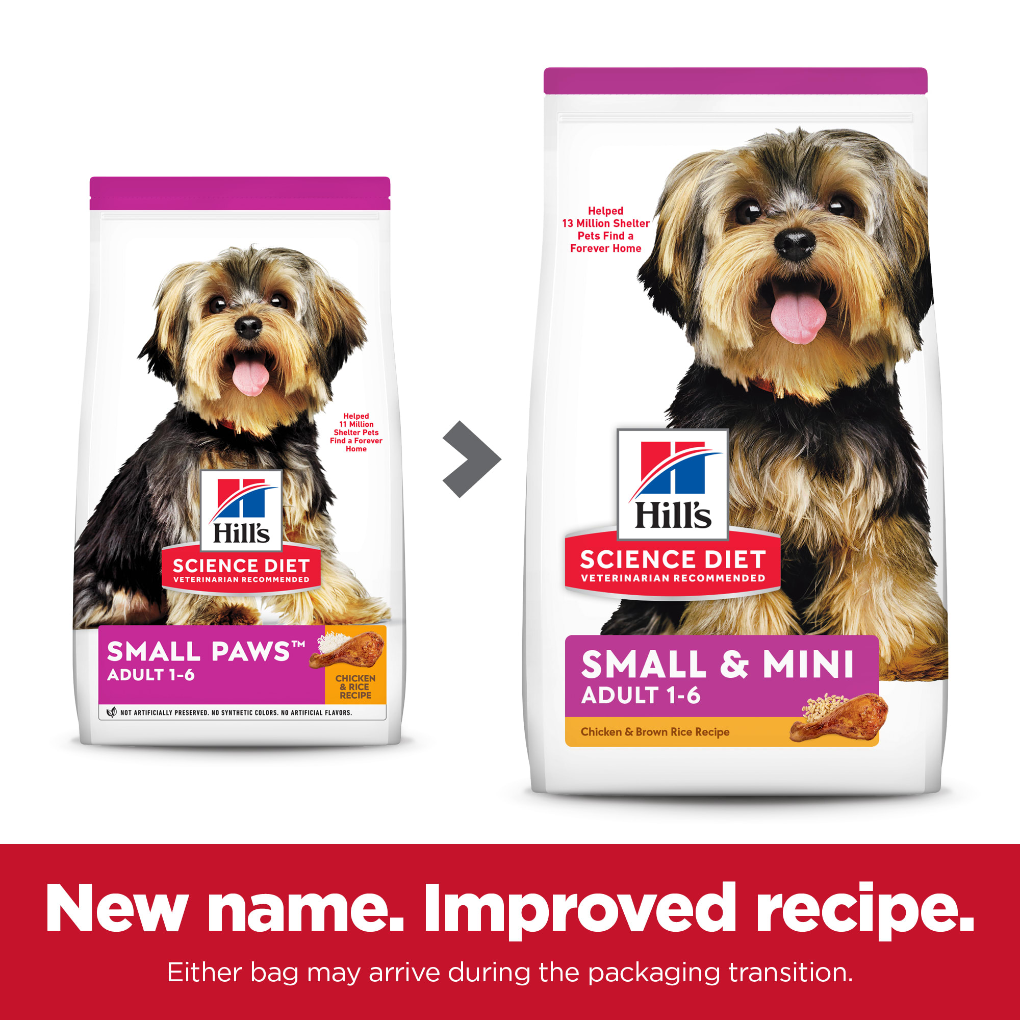 Petco hill's best sale science diet