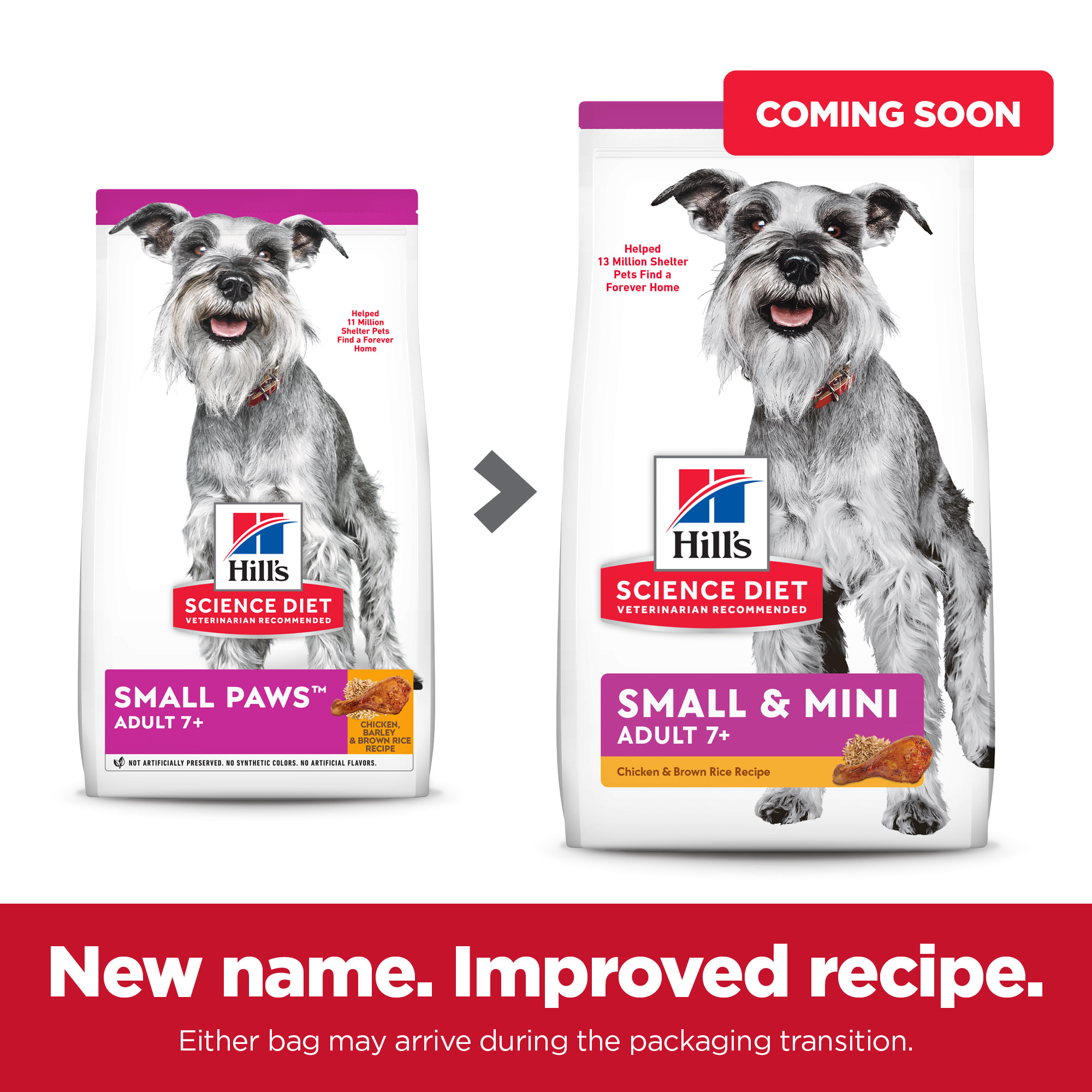 Hills small hotsell dog food