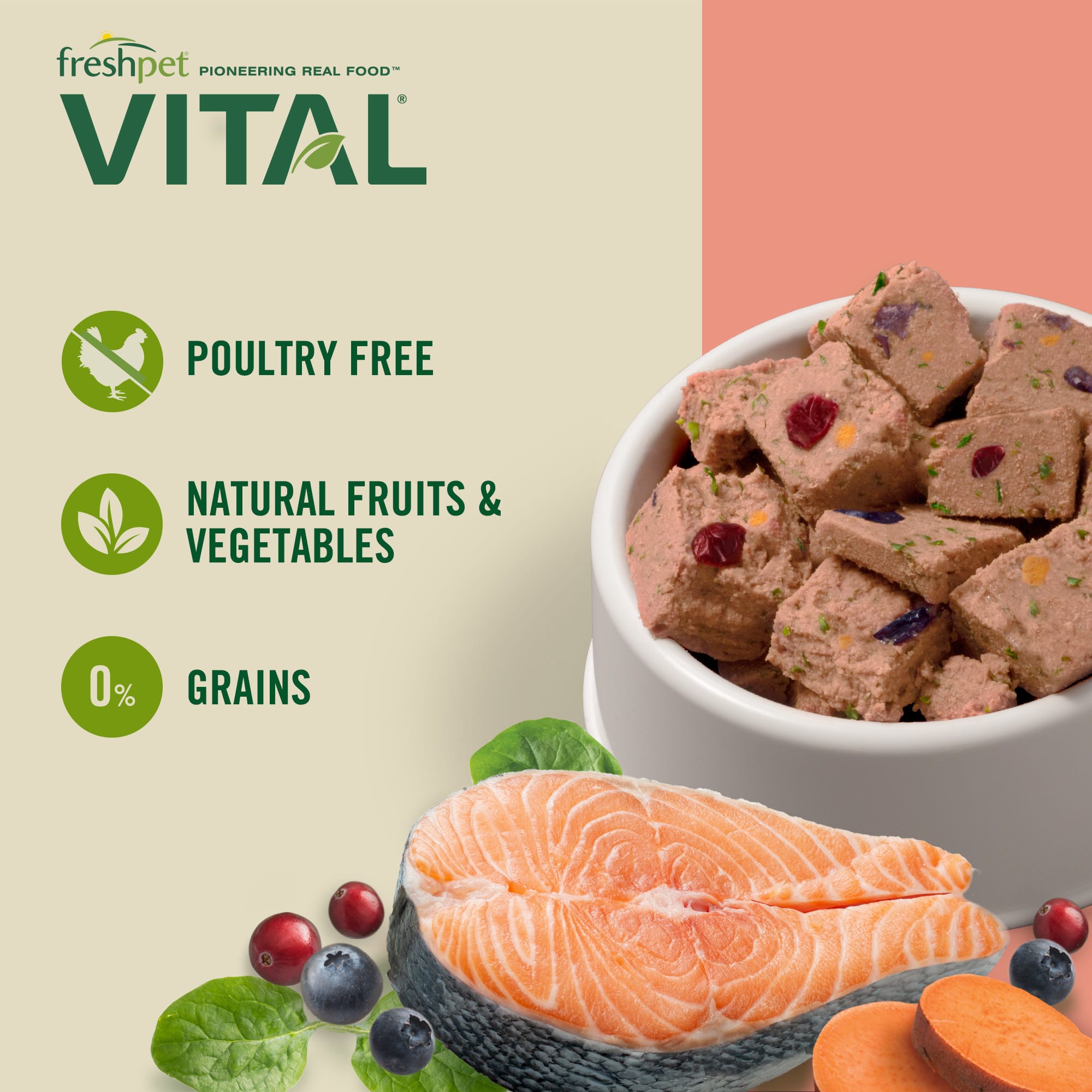 Freshpet Vital Grain Free Salmon Ocean Whitefish Fresh Dog Food 2 lbs