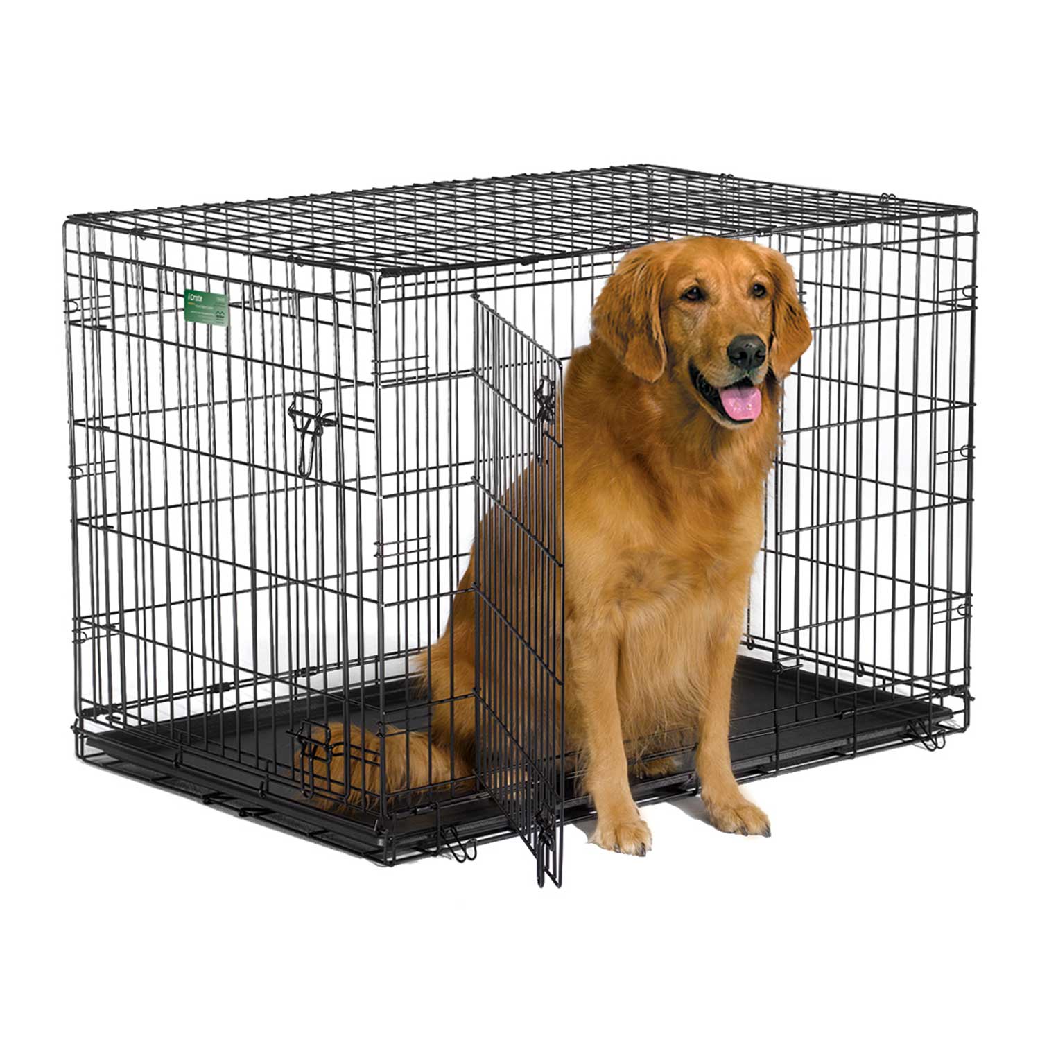 Midwest iCrate Double Door Folding Dog Crate, 36 L X 23 W X 25 H