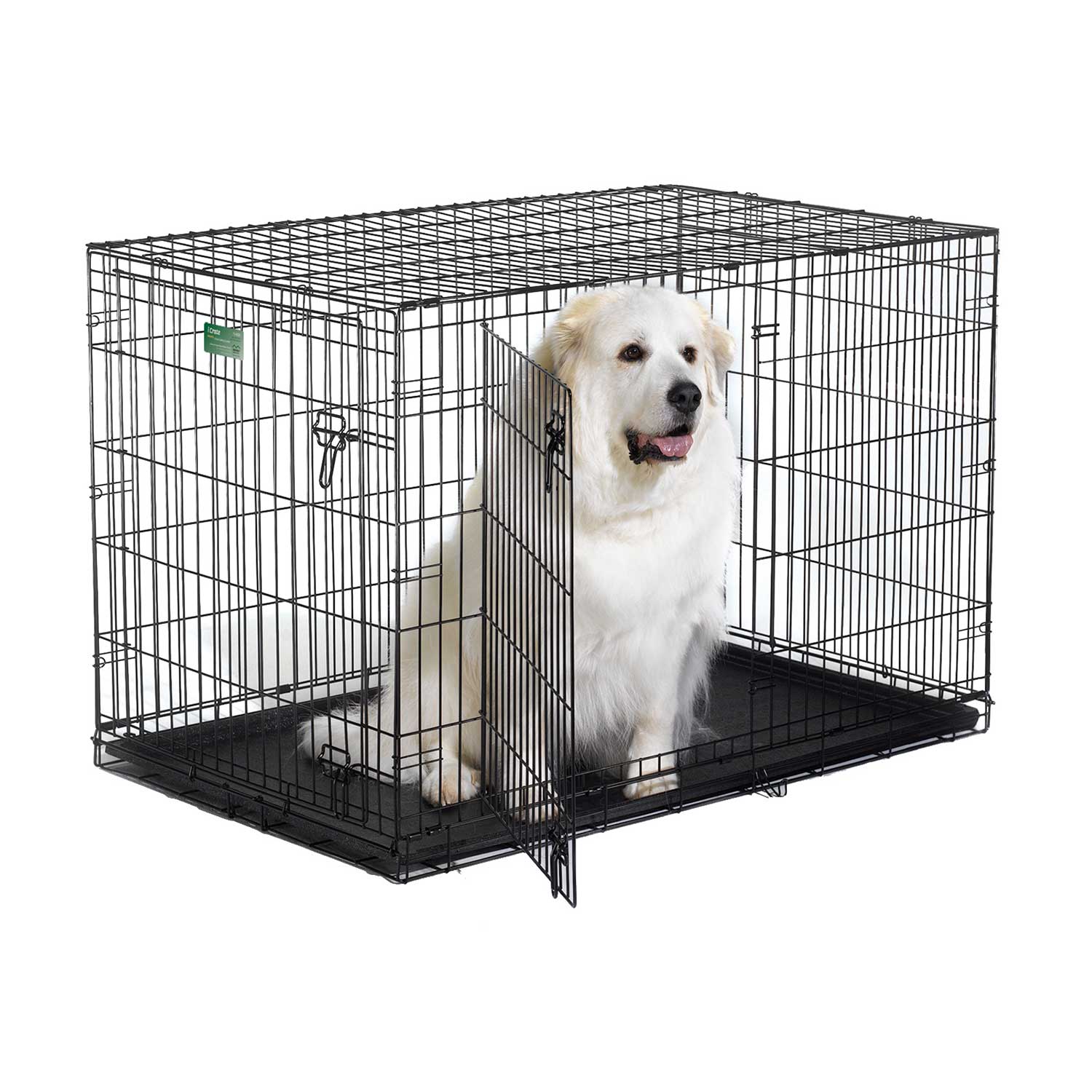 Midwest icrate double outlet door folding dog crate