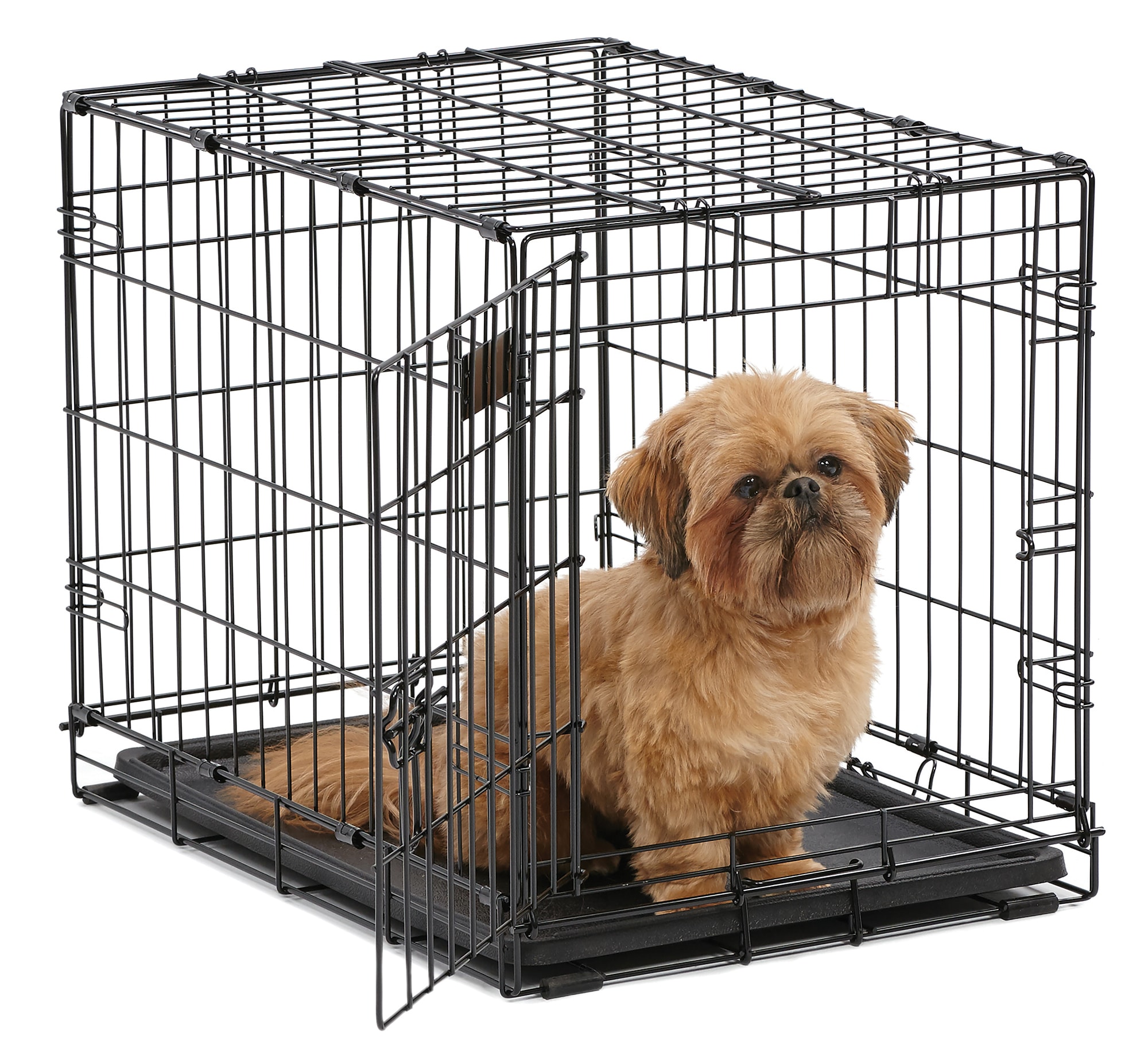 abc's of crate training