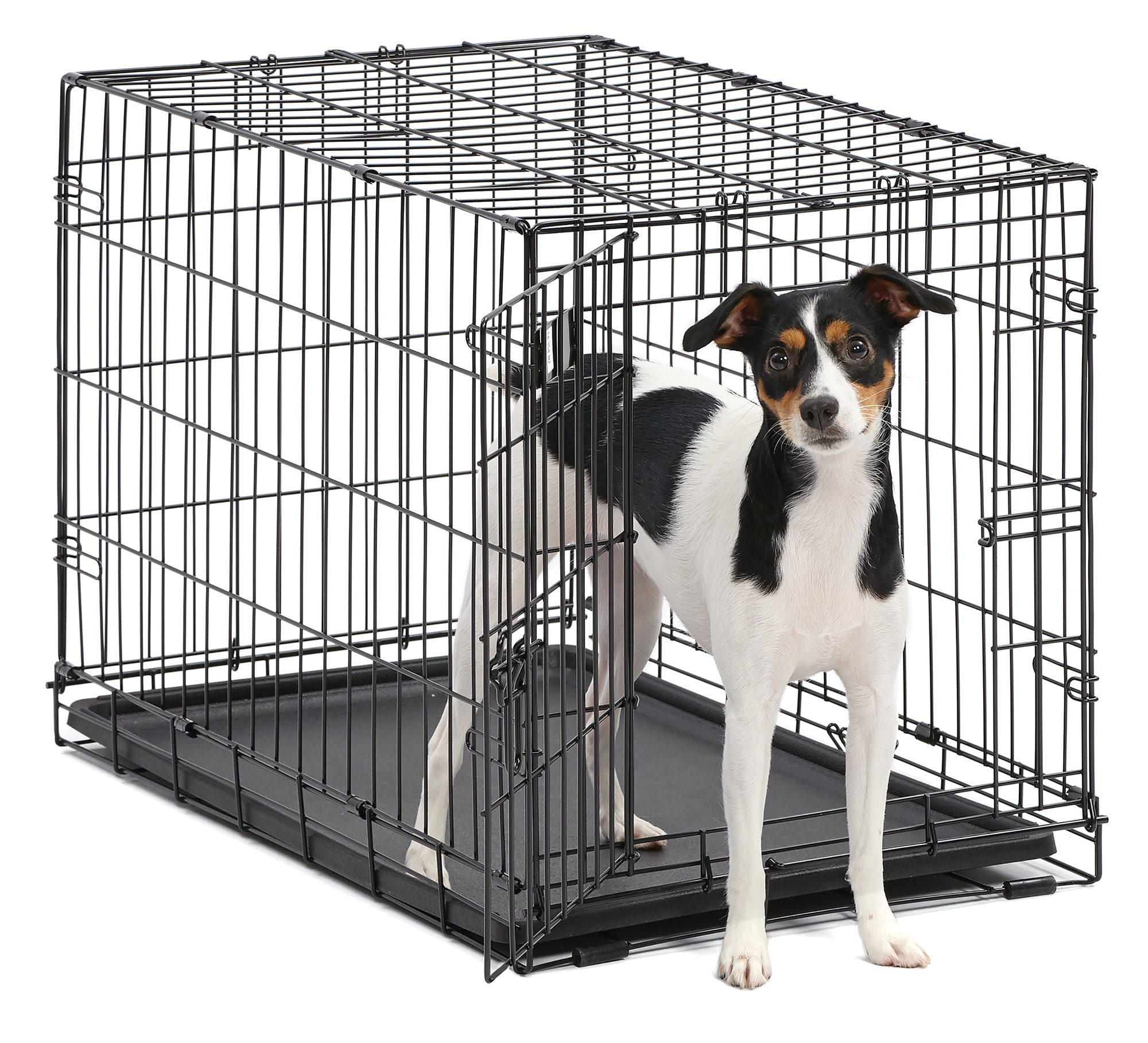 Midwest iCrate Double Door Folding Dog Crate, 36 L X 23 W X 25 H