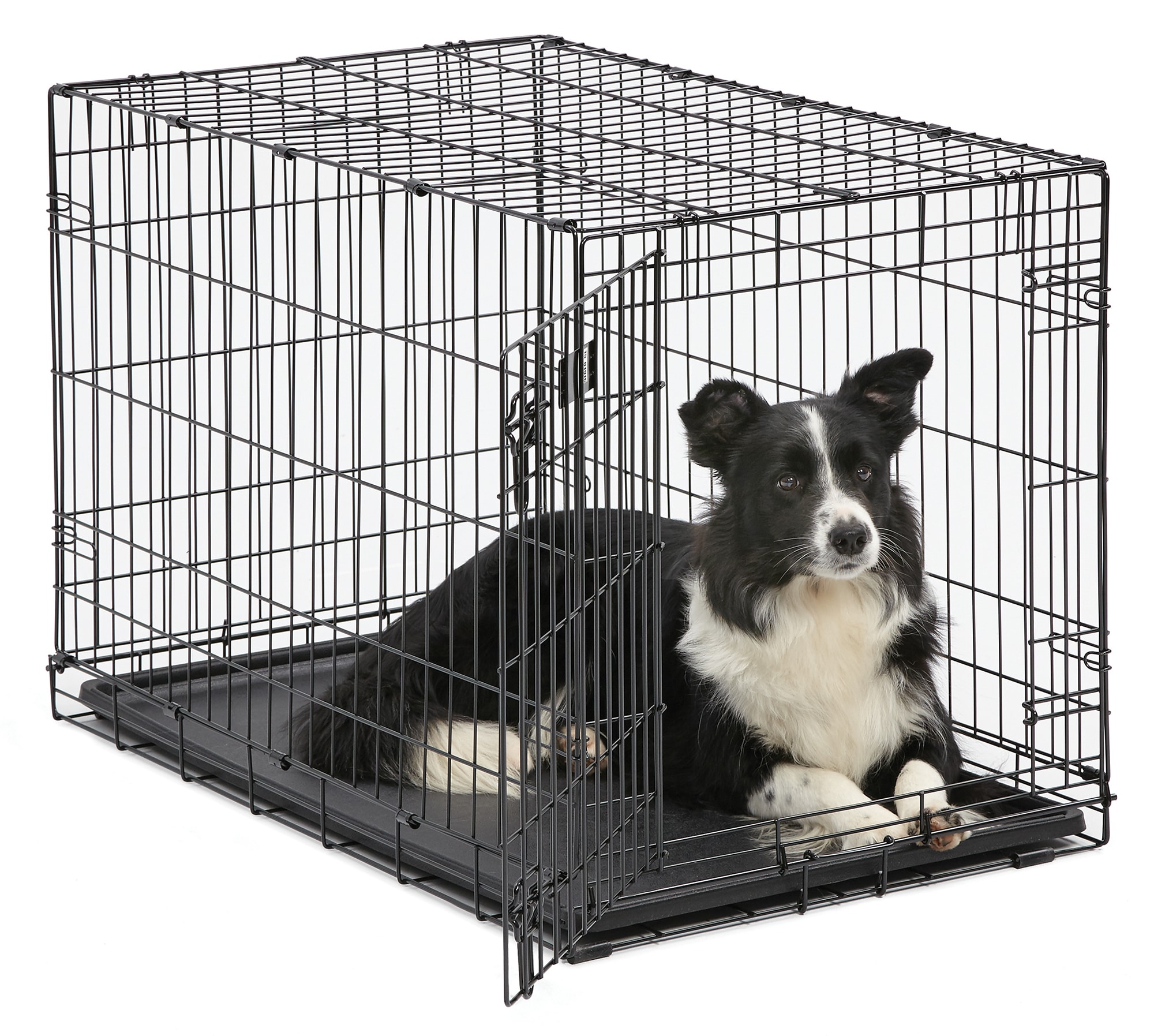 Kennel for 2025 medium dog