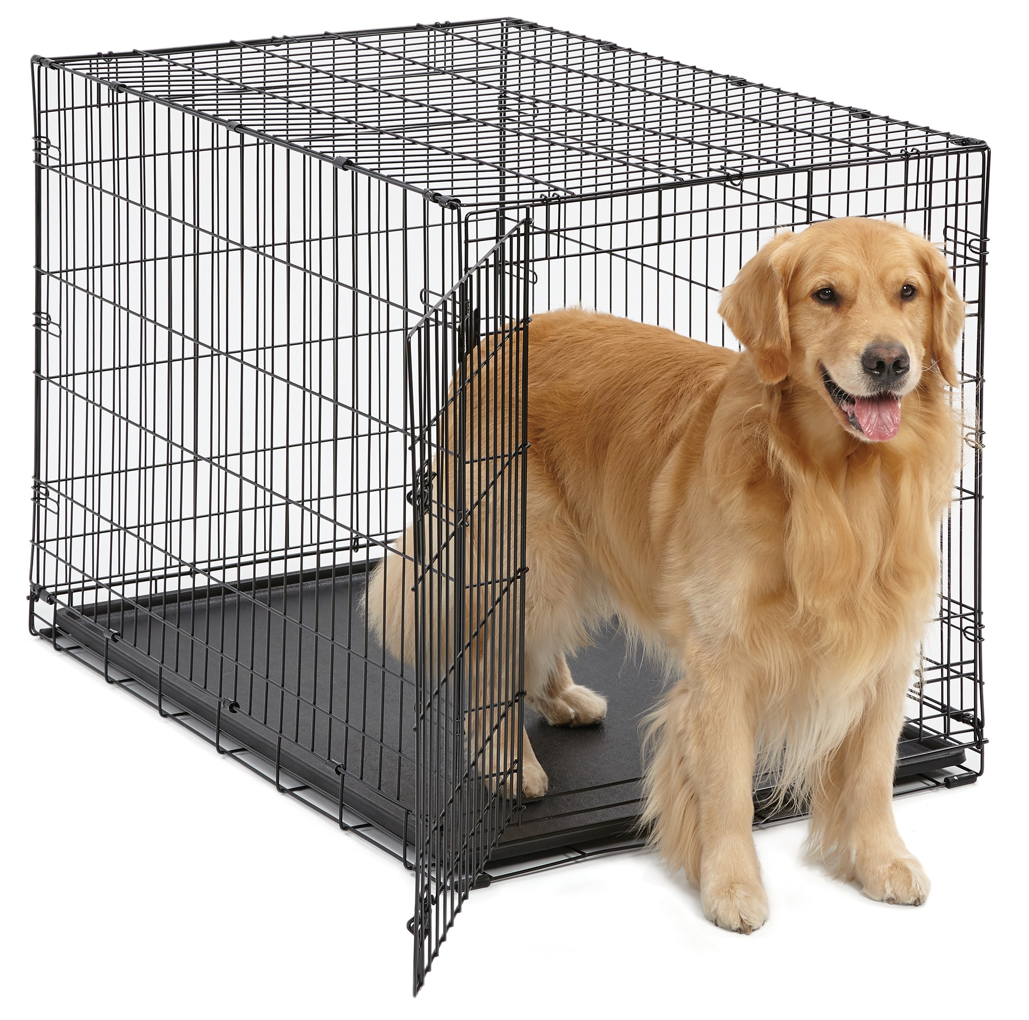 Petco dog best sale crate xl