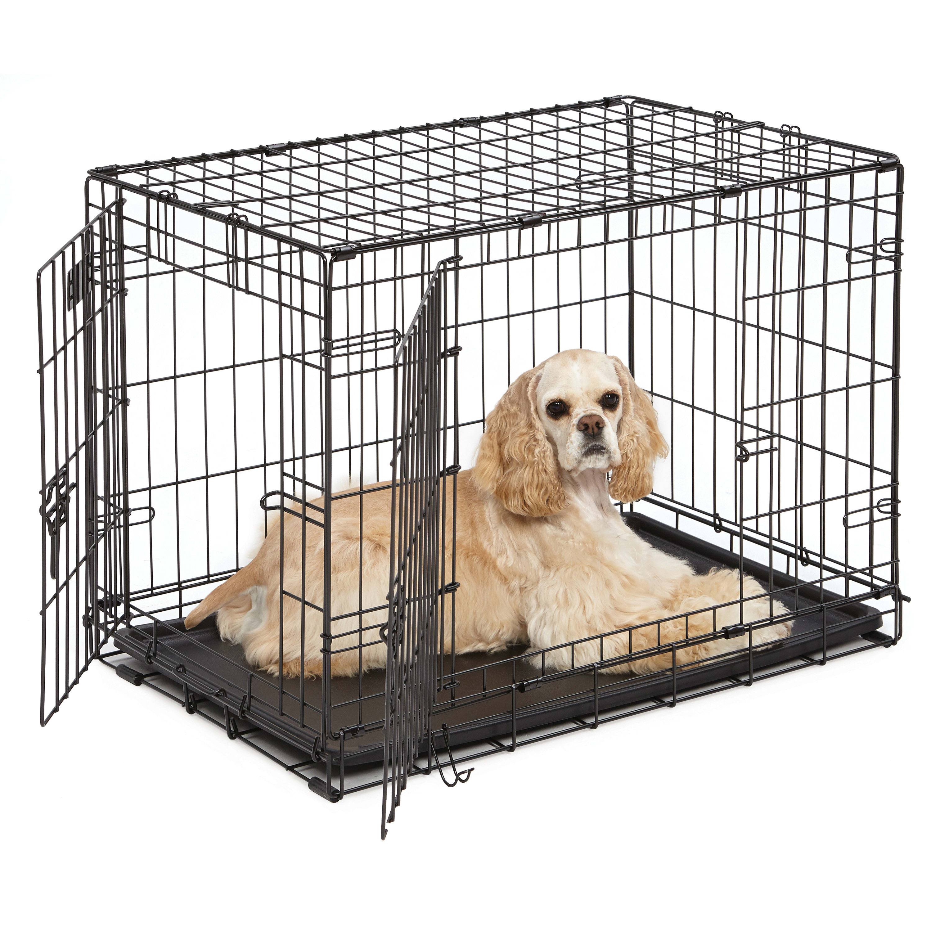 Midwest iCrate Double Door Folding Dog Crate, 36 L X 23 W X 25 H