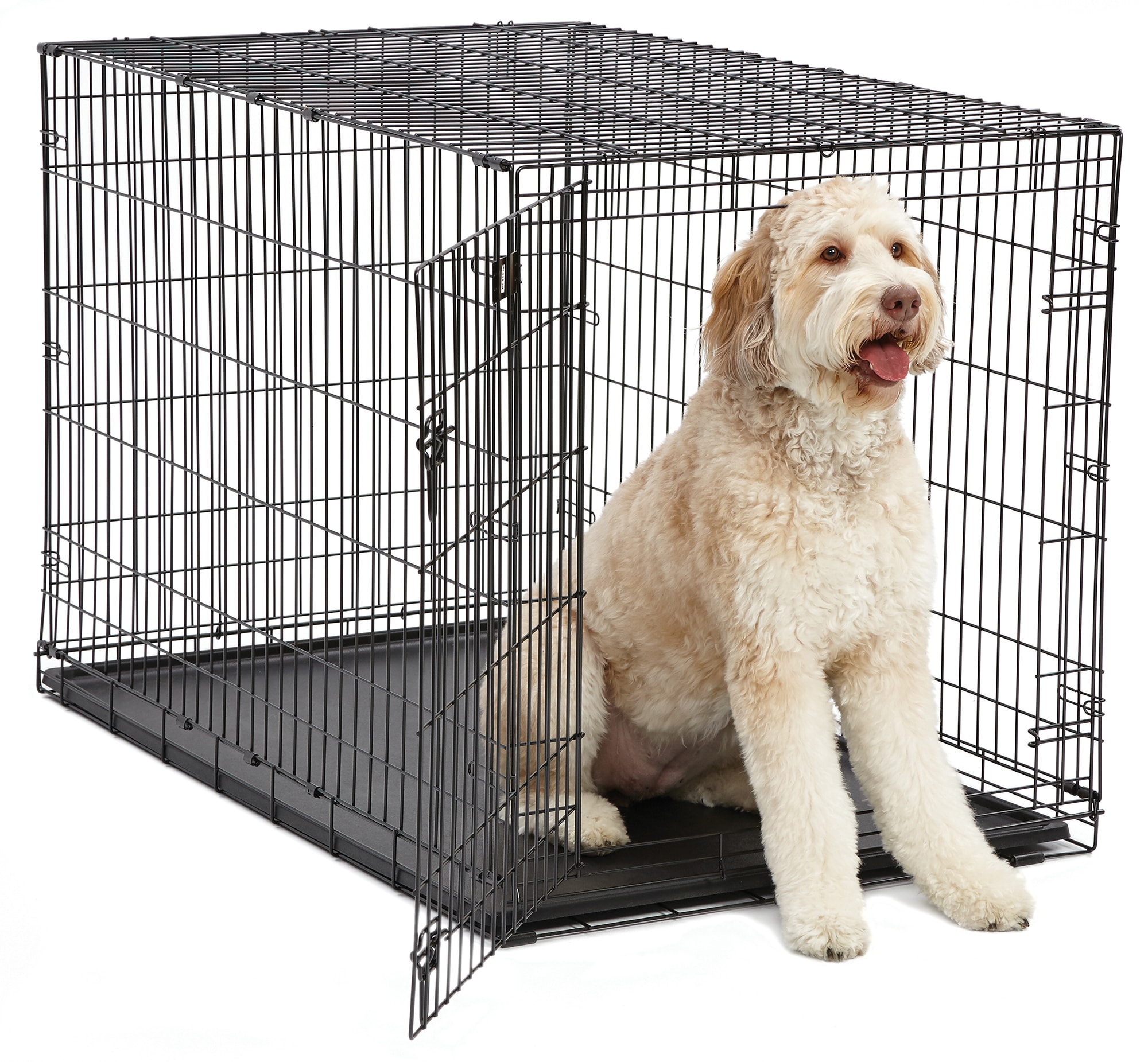 Petco 1-Door Folding Dog Crate