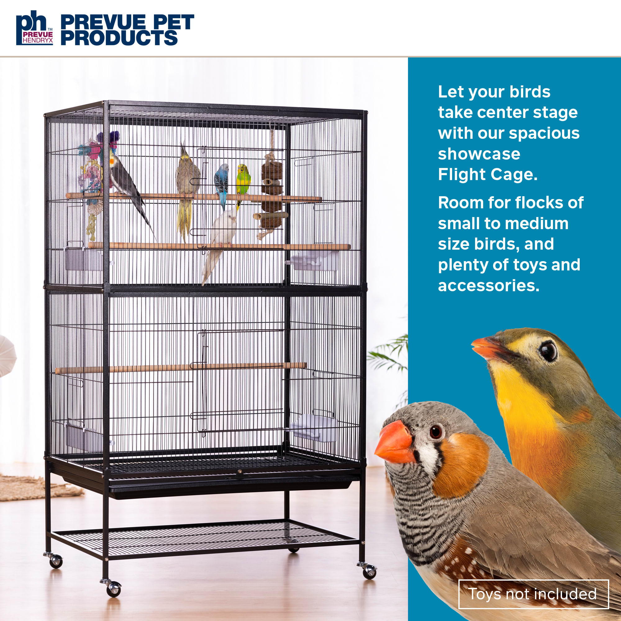  Prevue Hendryx Tubular Steel Hanging Bird Cage Stand 1780  Black, 24-Inch by 24-Inch by 62-Inch : Birdcages : Pet Supplies