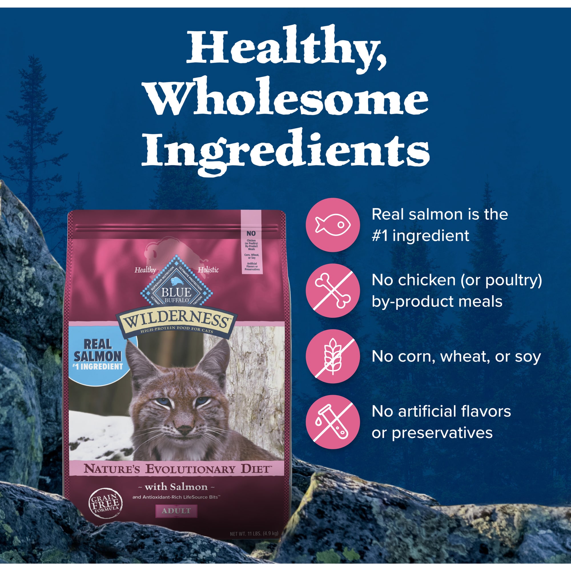 Blue Buffalo Wilderness Natural High Protein Grain Free Salmon Dry Food for Adult Cats 11 lbs