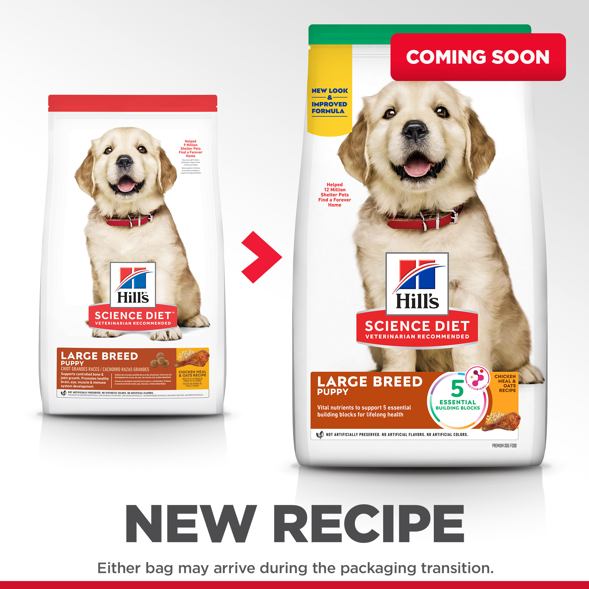 Science diet large hot sale breed puppy ingredients