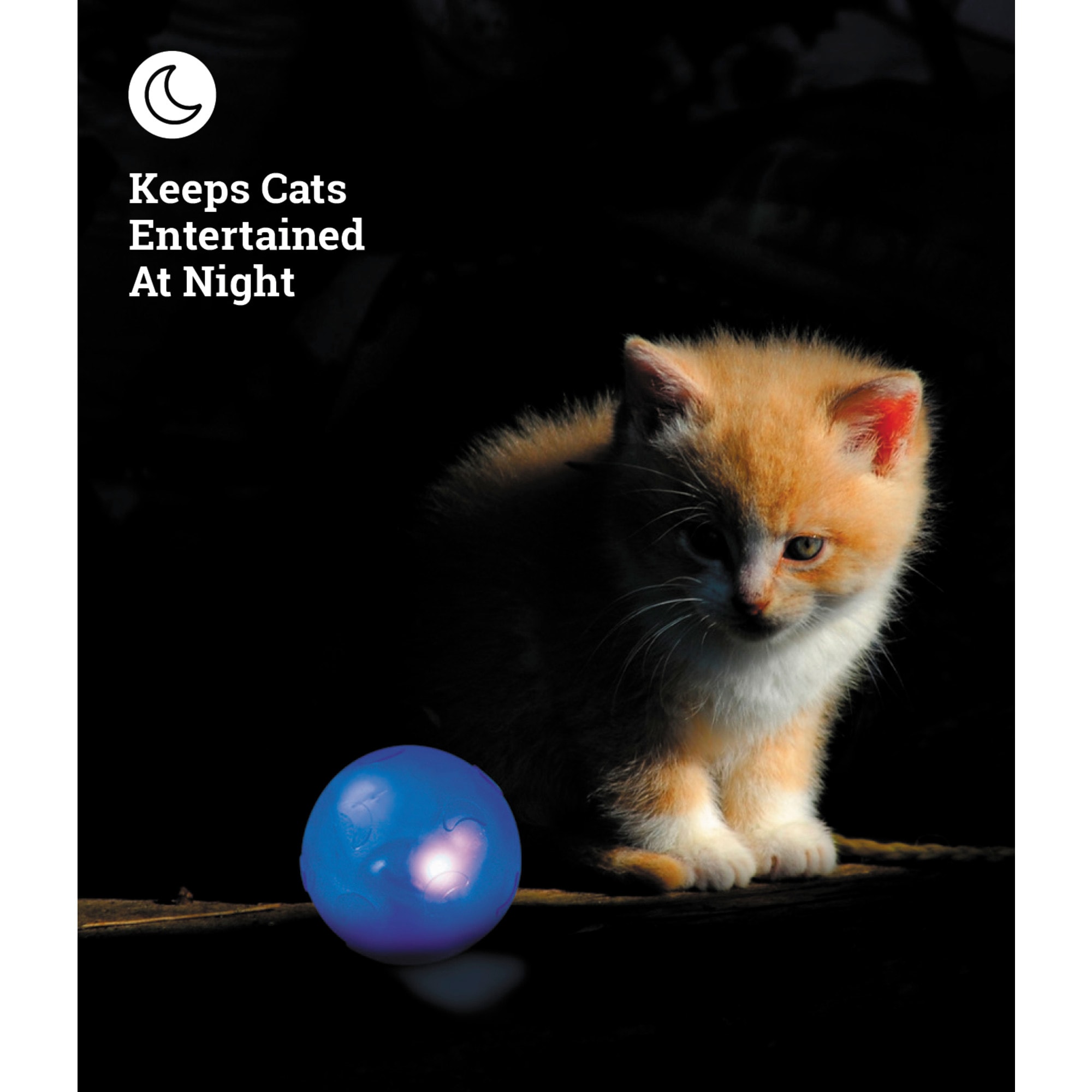 Petstages 2024 twinkle ball