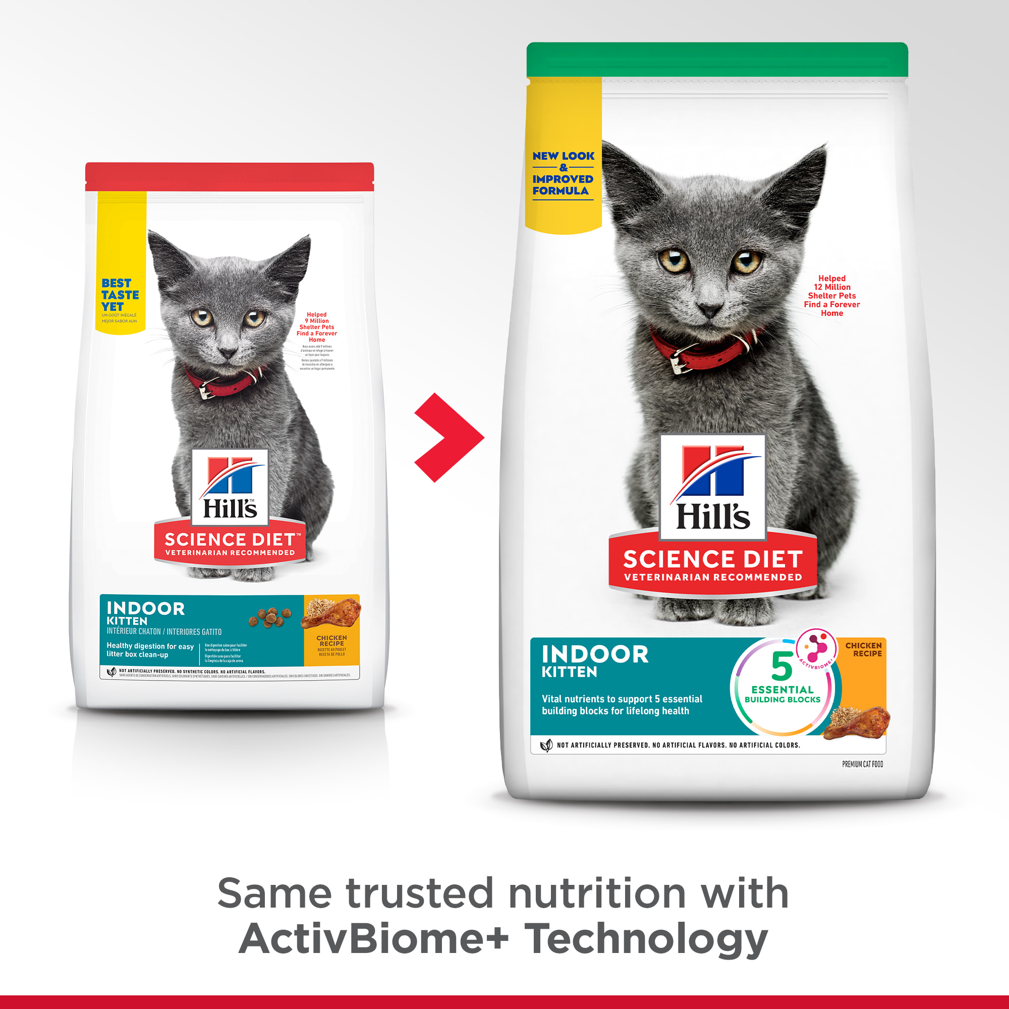 Hill's science diet hot sale dry kitten food