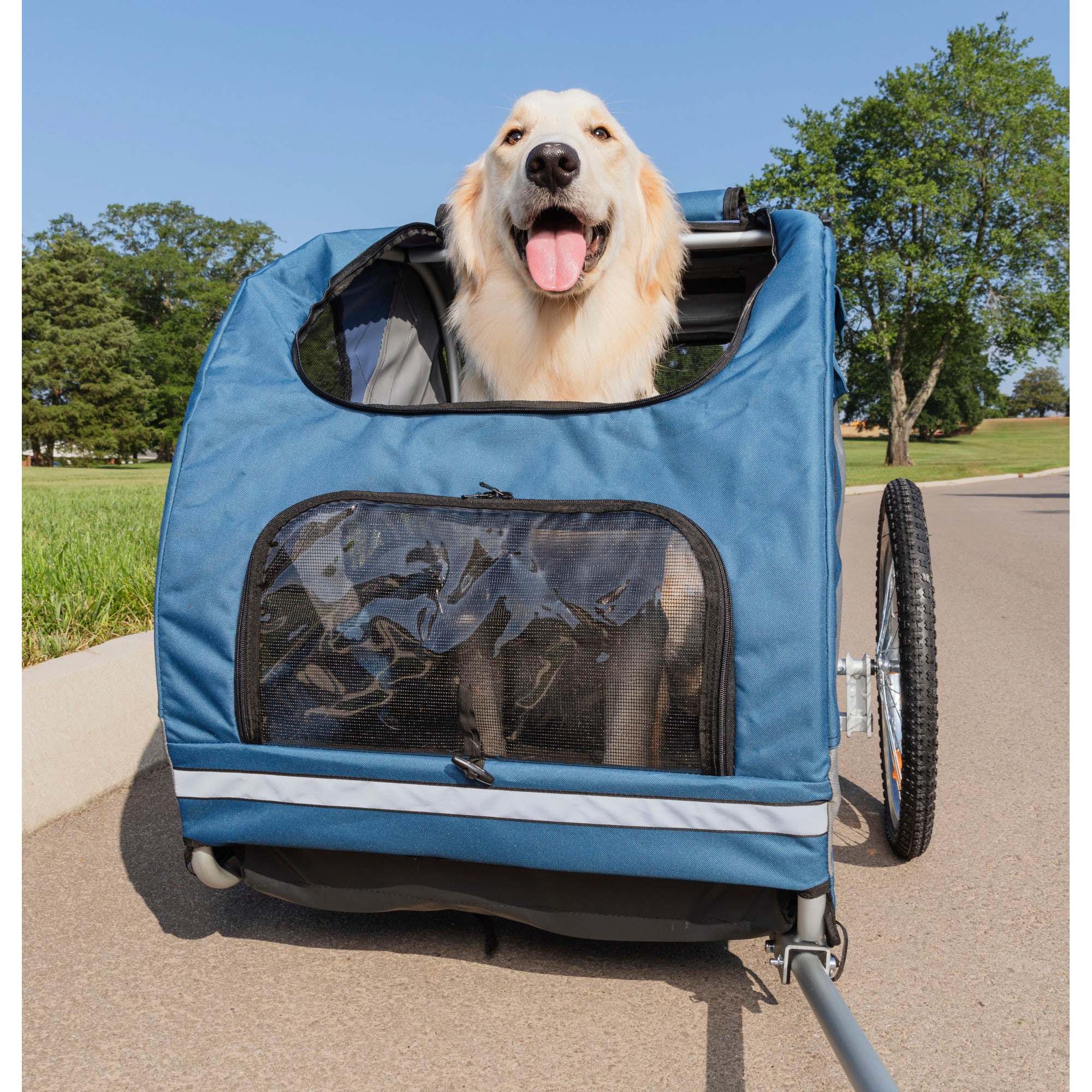 dog bicycle trailer