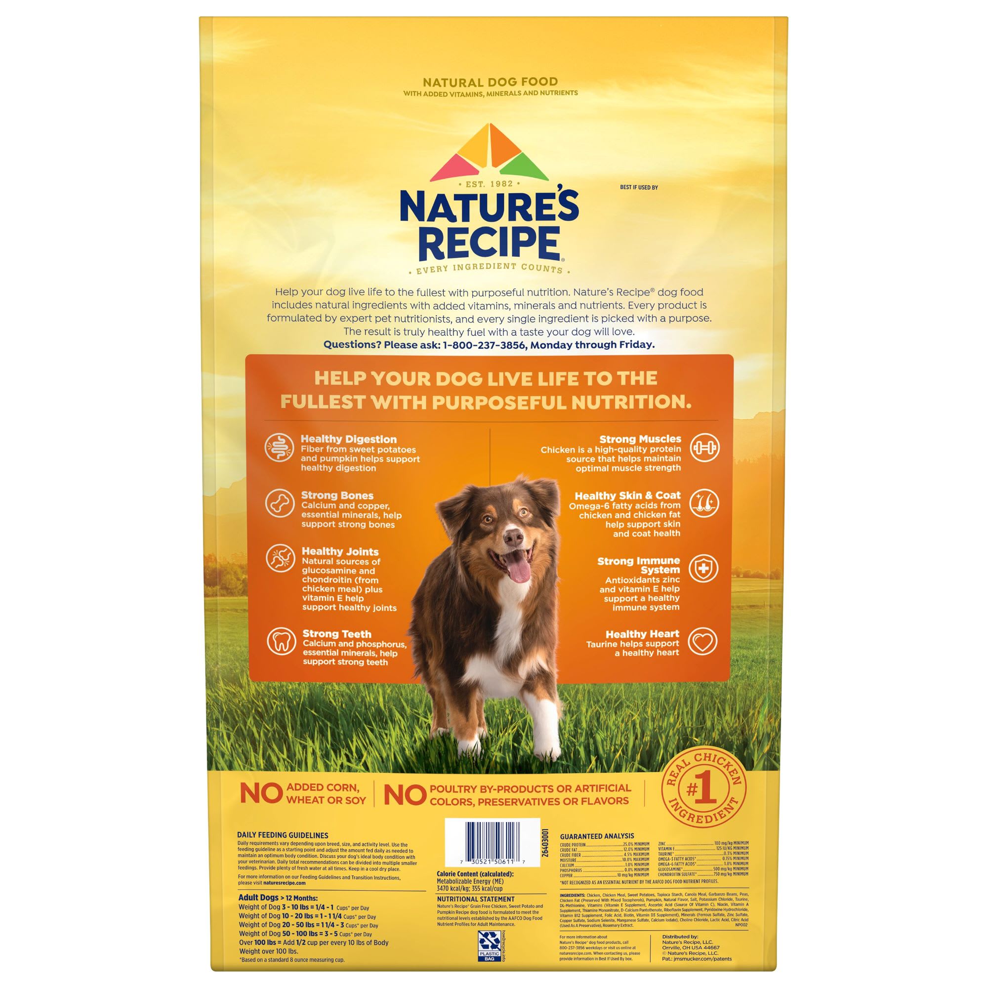 Nature s Recipe Grain Free Chicken Sweet Potato Pumpkin Dry Dog Food