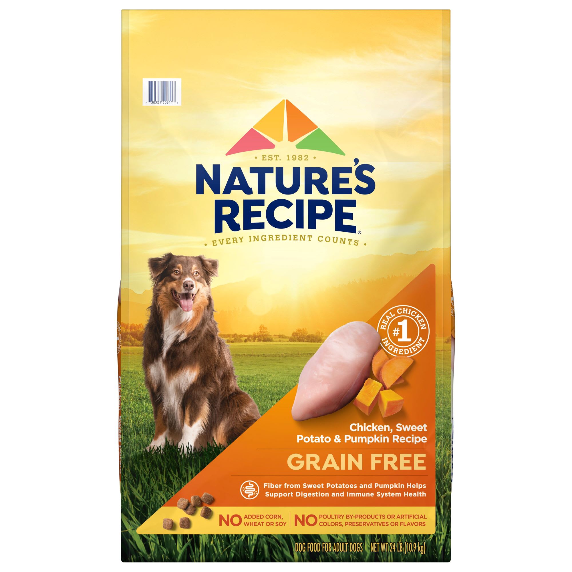 No grain 2025 free dog food