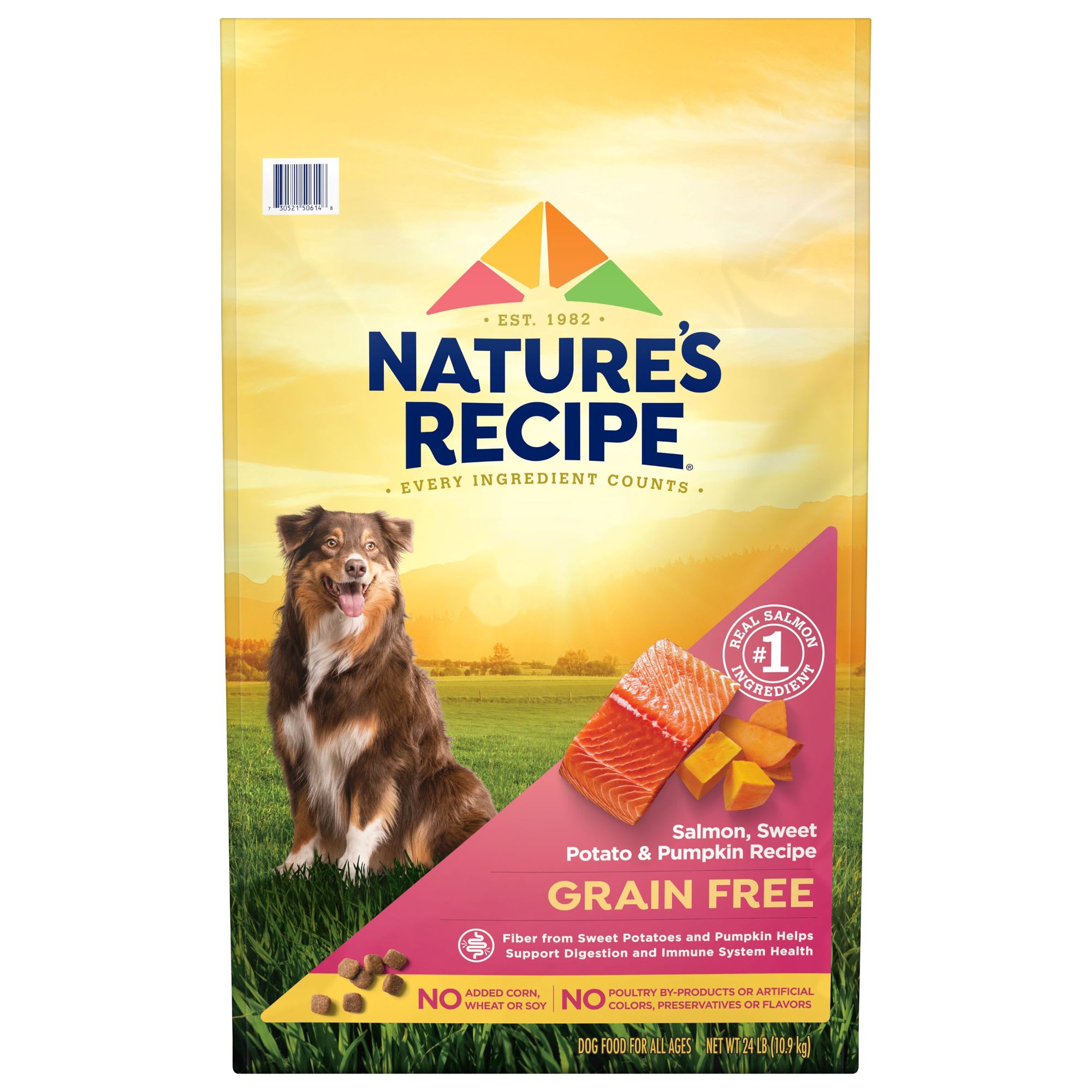 Nature s Recipe Grain Free Salmon Sweet Potato Pumpkin Dry Dog