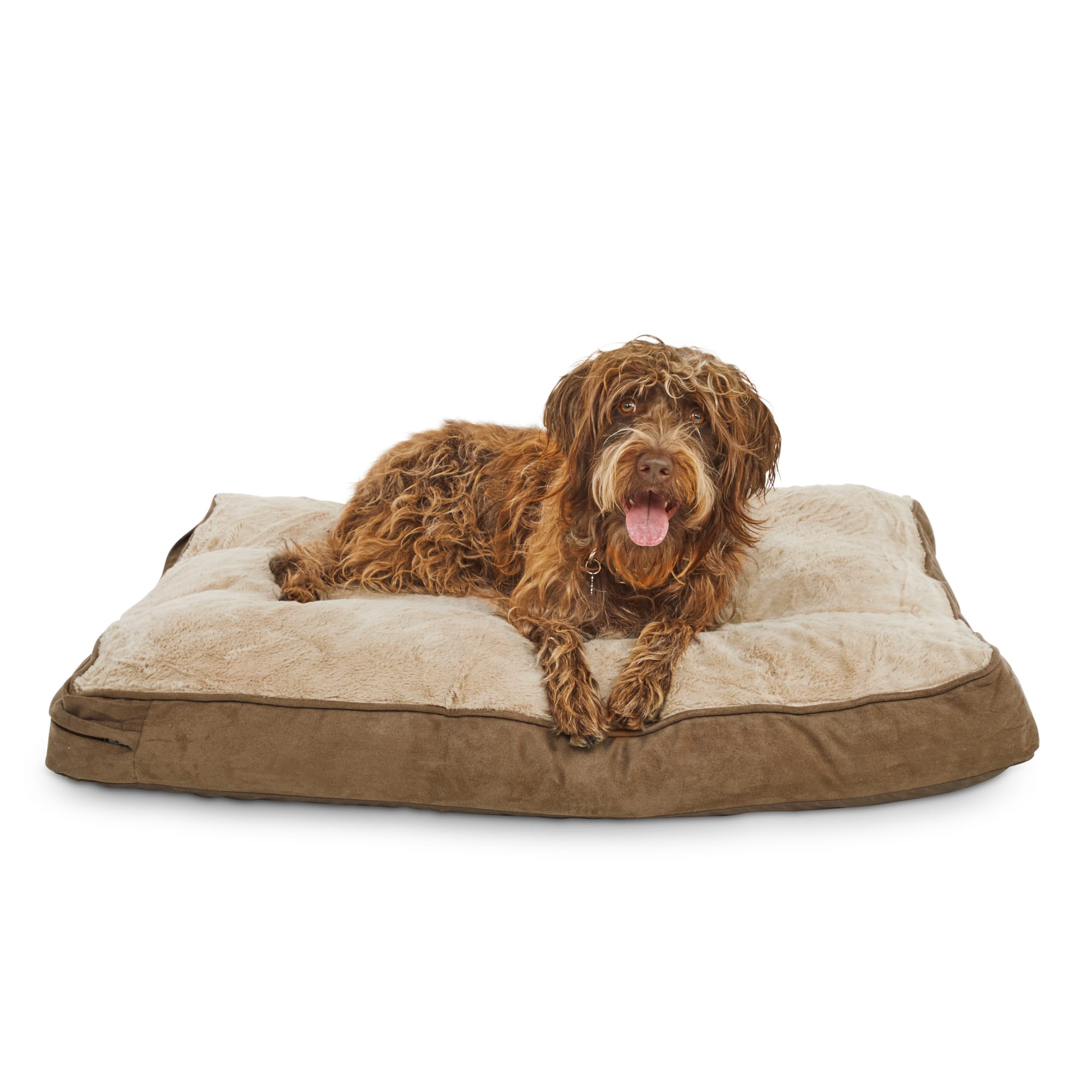 brown dog bed