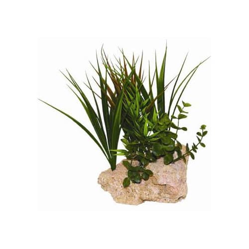 RockGarden Tufa Rock Aquarium Plant, 8 inches, Medium, Green