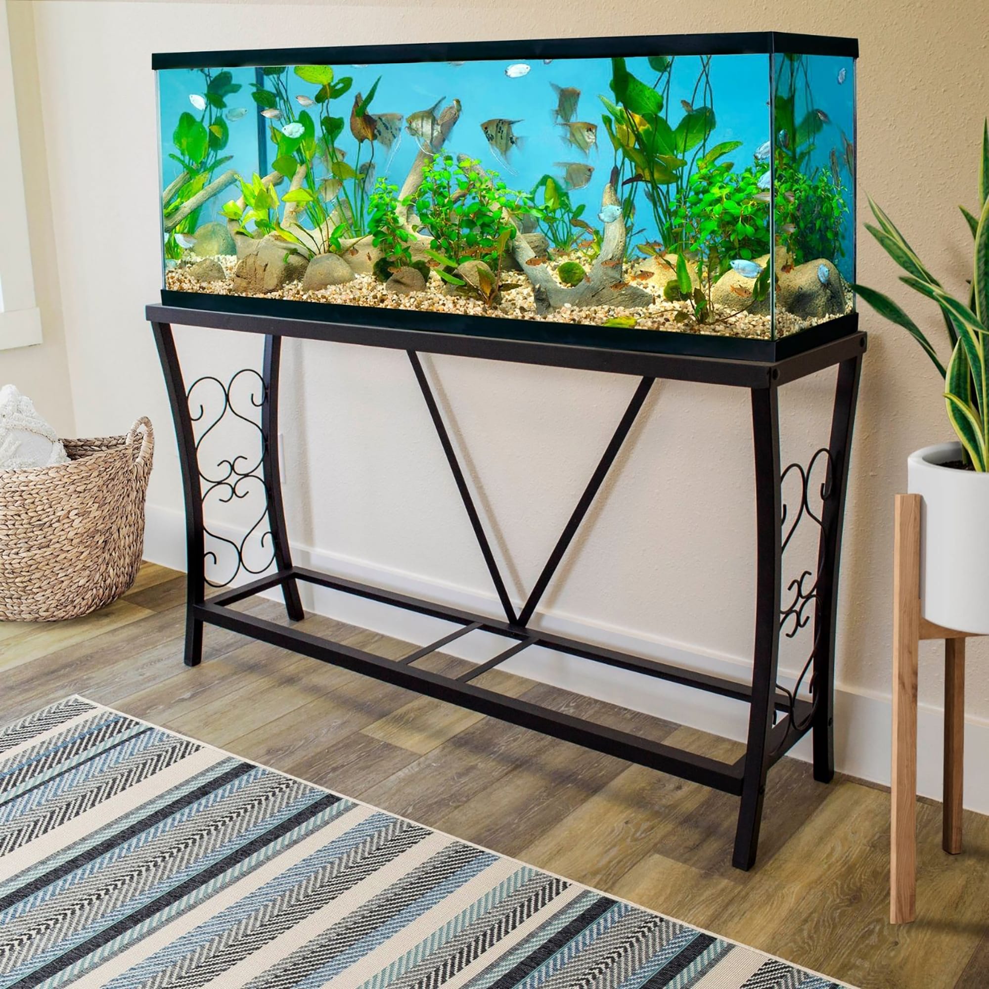 Petco fish tank outlet stands