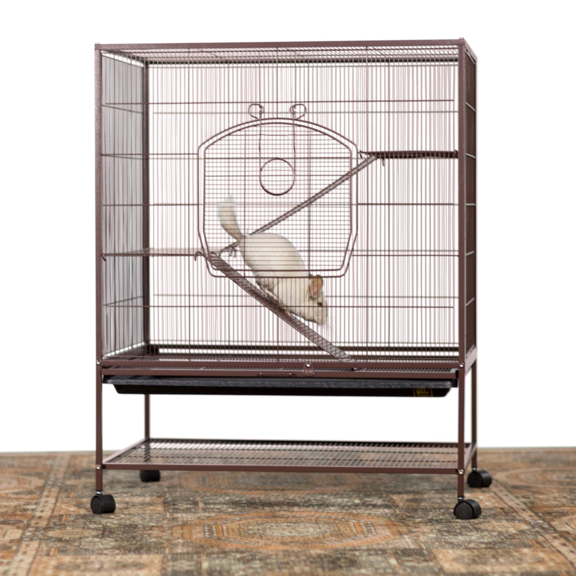 Petco on sale rat cage