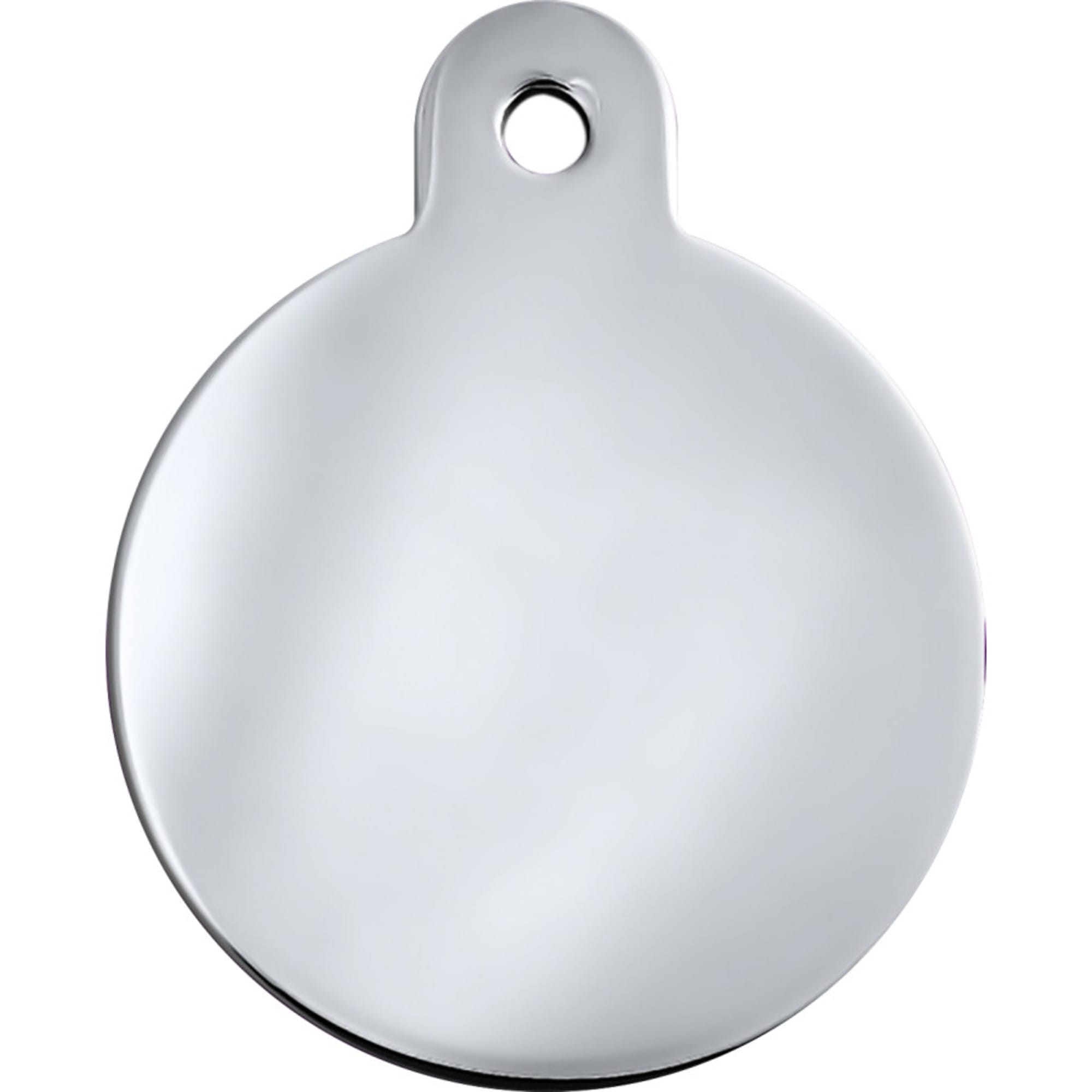 Quick-Tag Chrome Circle Personalized Engraved Pet ID Tag, Large