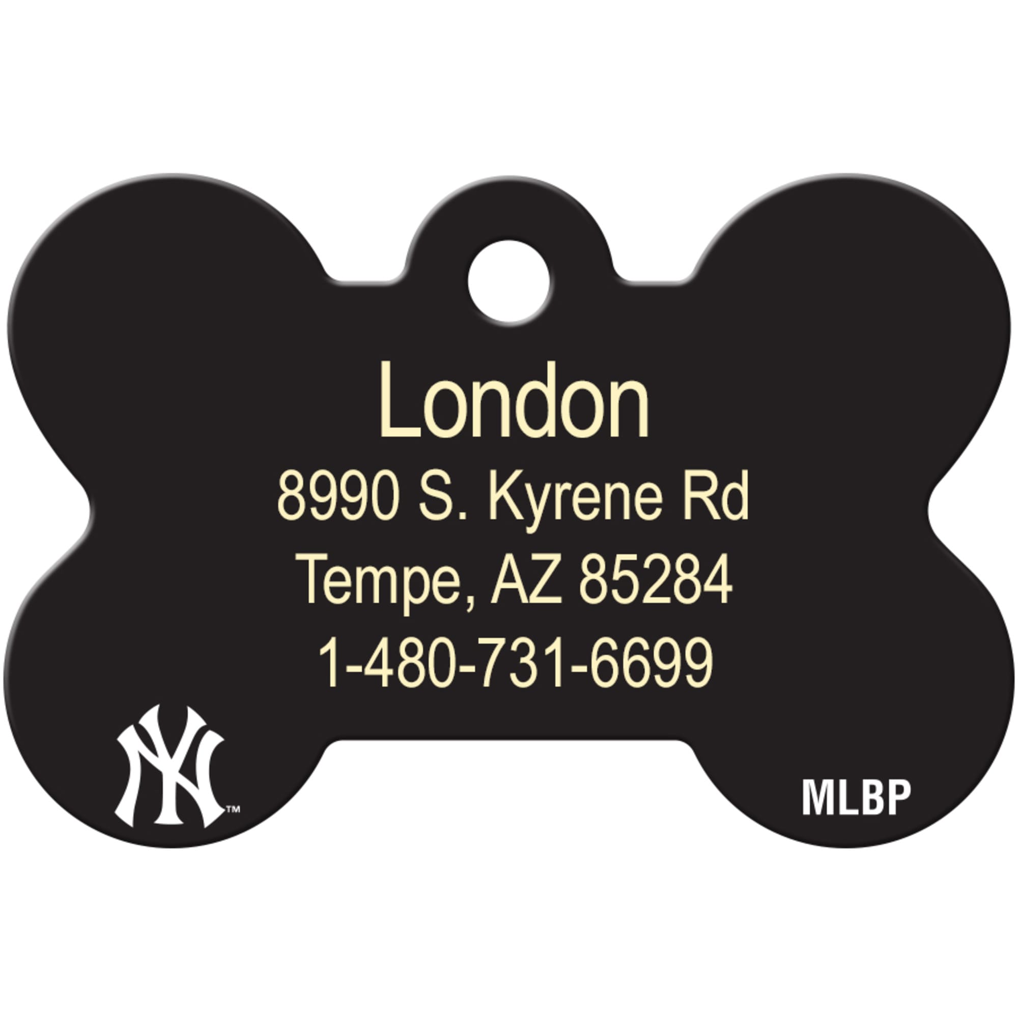 Quick-Tag Atlanta Braves MLB Personalized Engraved Pet ID Tag, 1 1