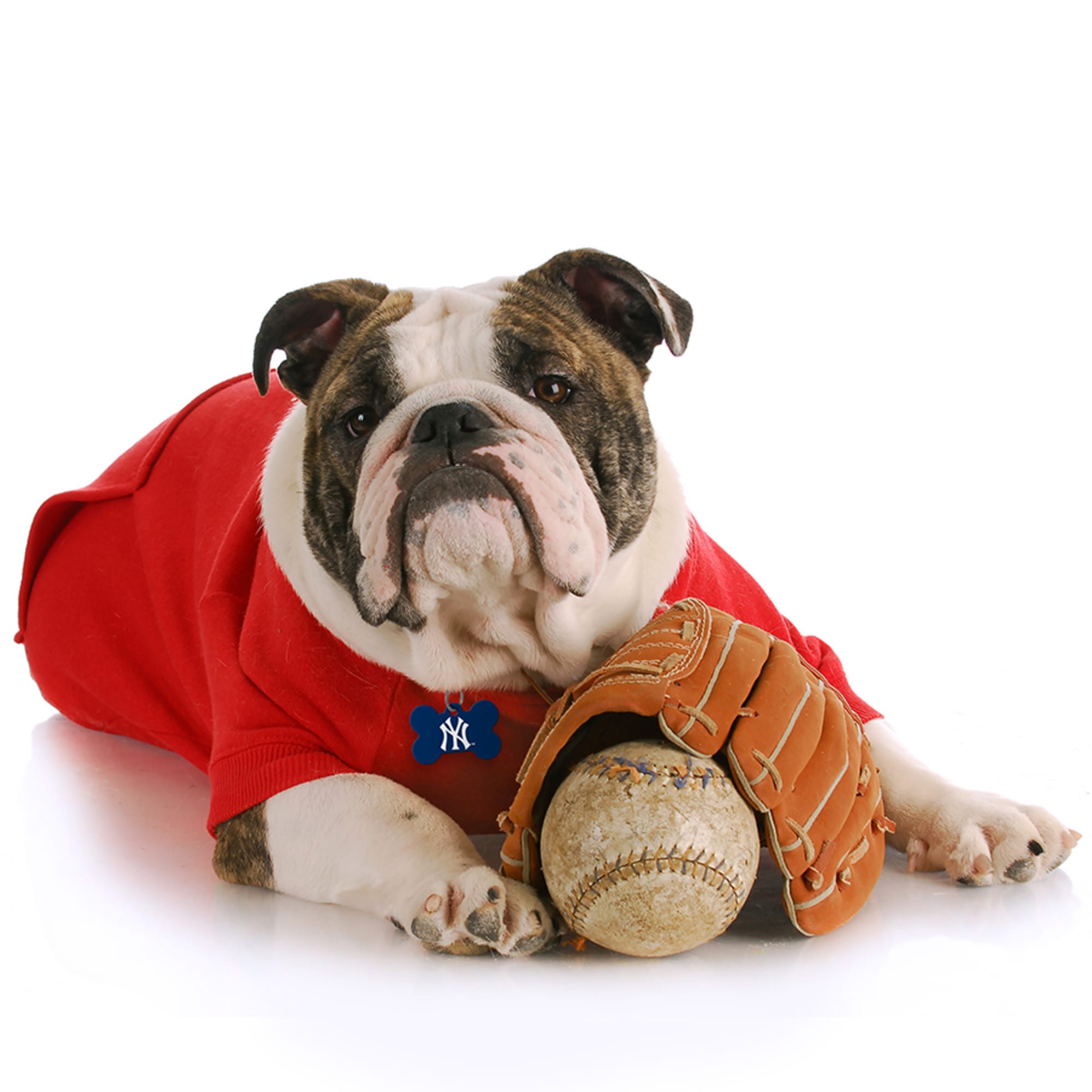 New York Yankees baseball sport CUSTOM Pet Dog Cat ID Tag