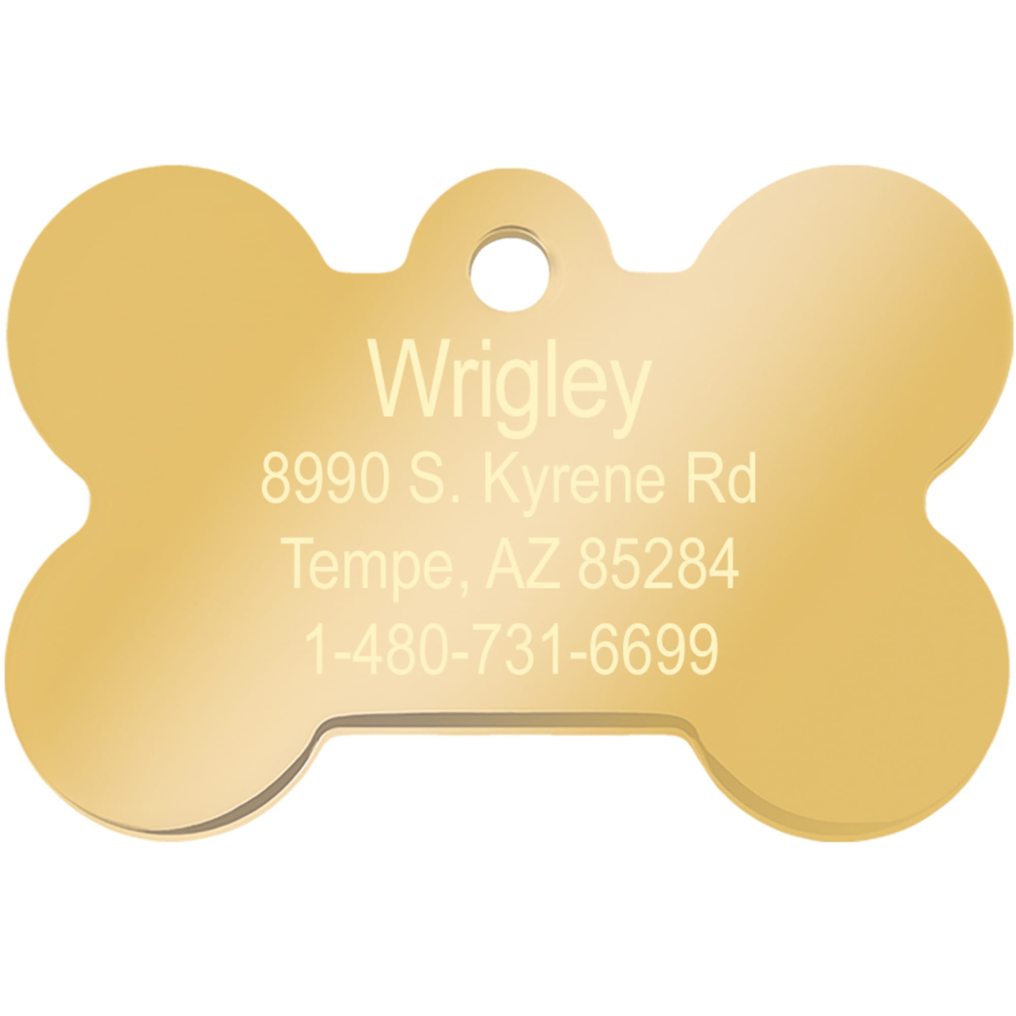 Gold pet hotsell id tag