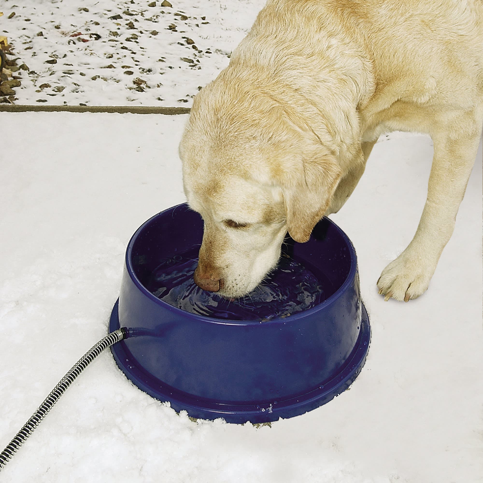 Single Low Pet Feeding System - Heavy-Duty Dog & Cat Food/Water Bowl