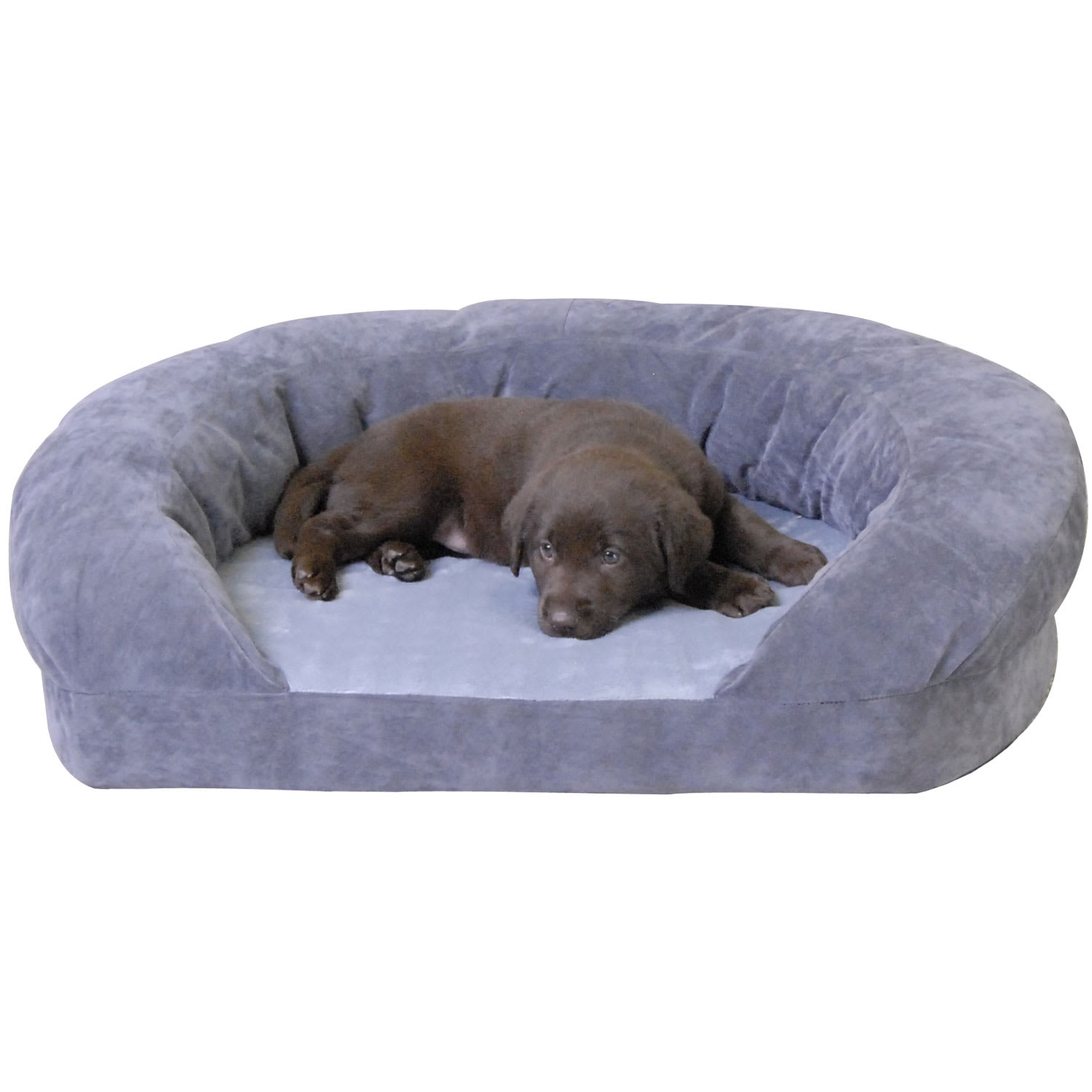 large orthopedic dog bed with bolster