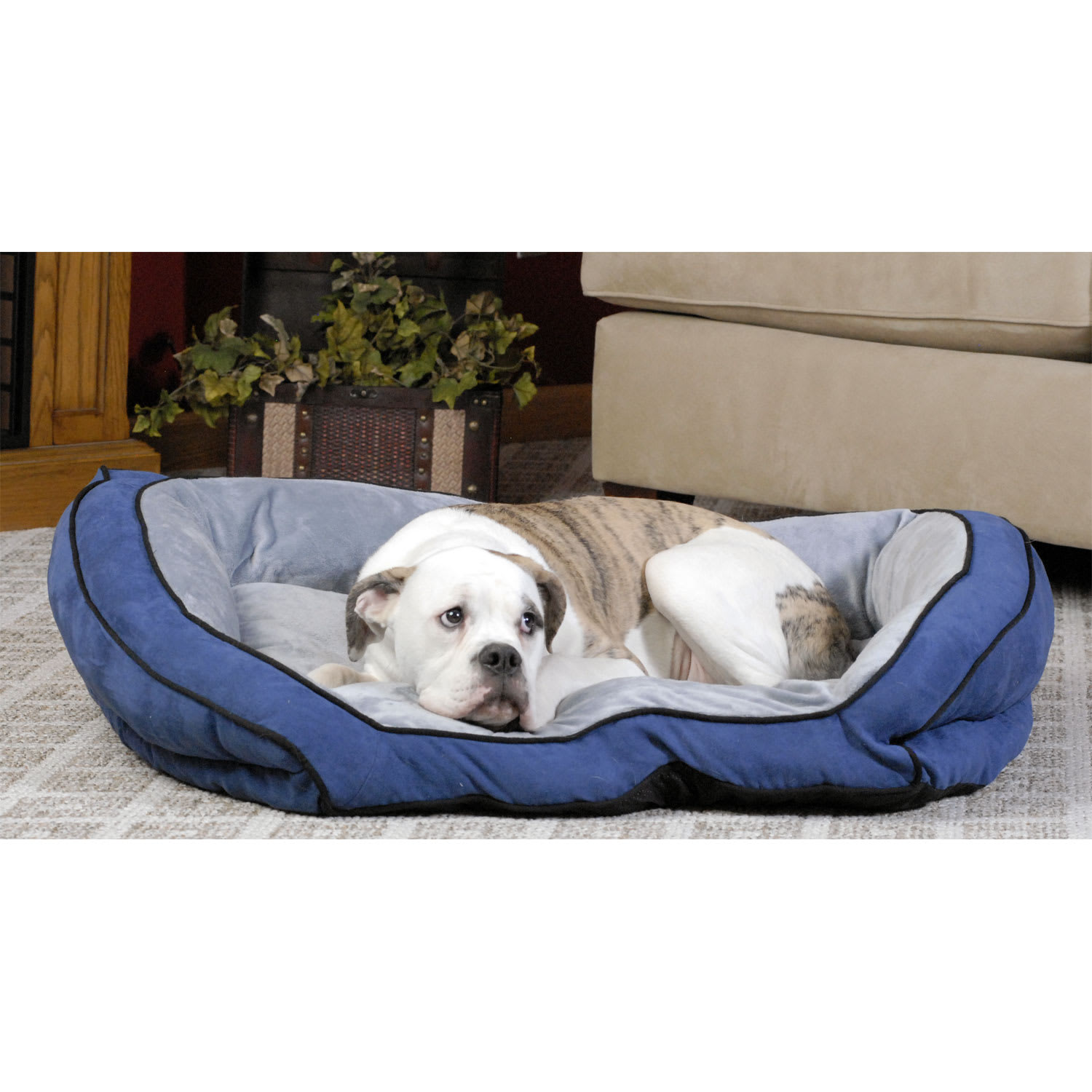 K&H Bolster Couch Dog Bed, 28" L X 40" W X 9" H, Blue & Gray Petco