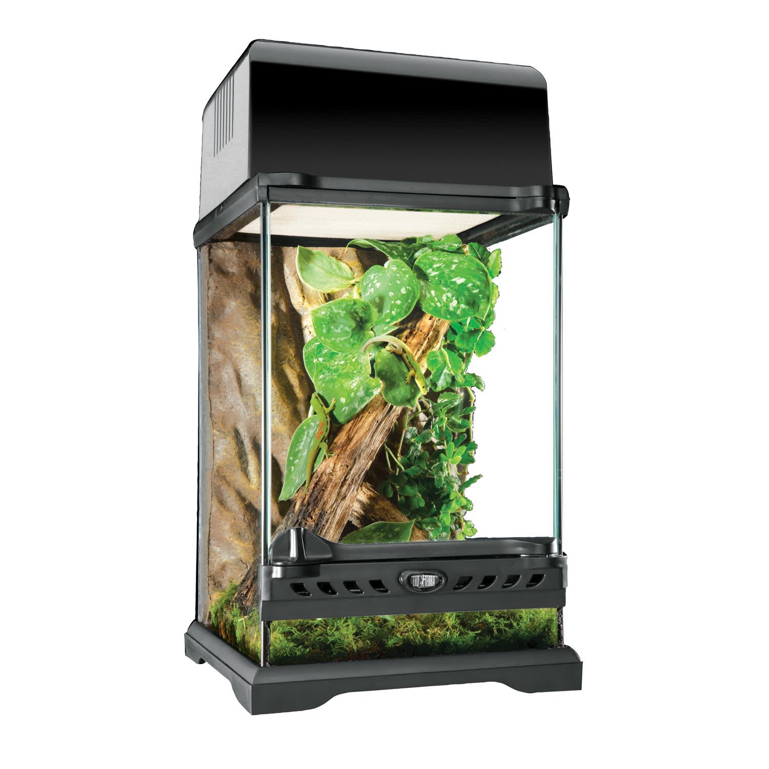 Sin alterar Estudiante el viento es fuerte Exo-Terra Nano Glass Terrarium, 8" L X 8" W X 12" H | Petco