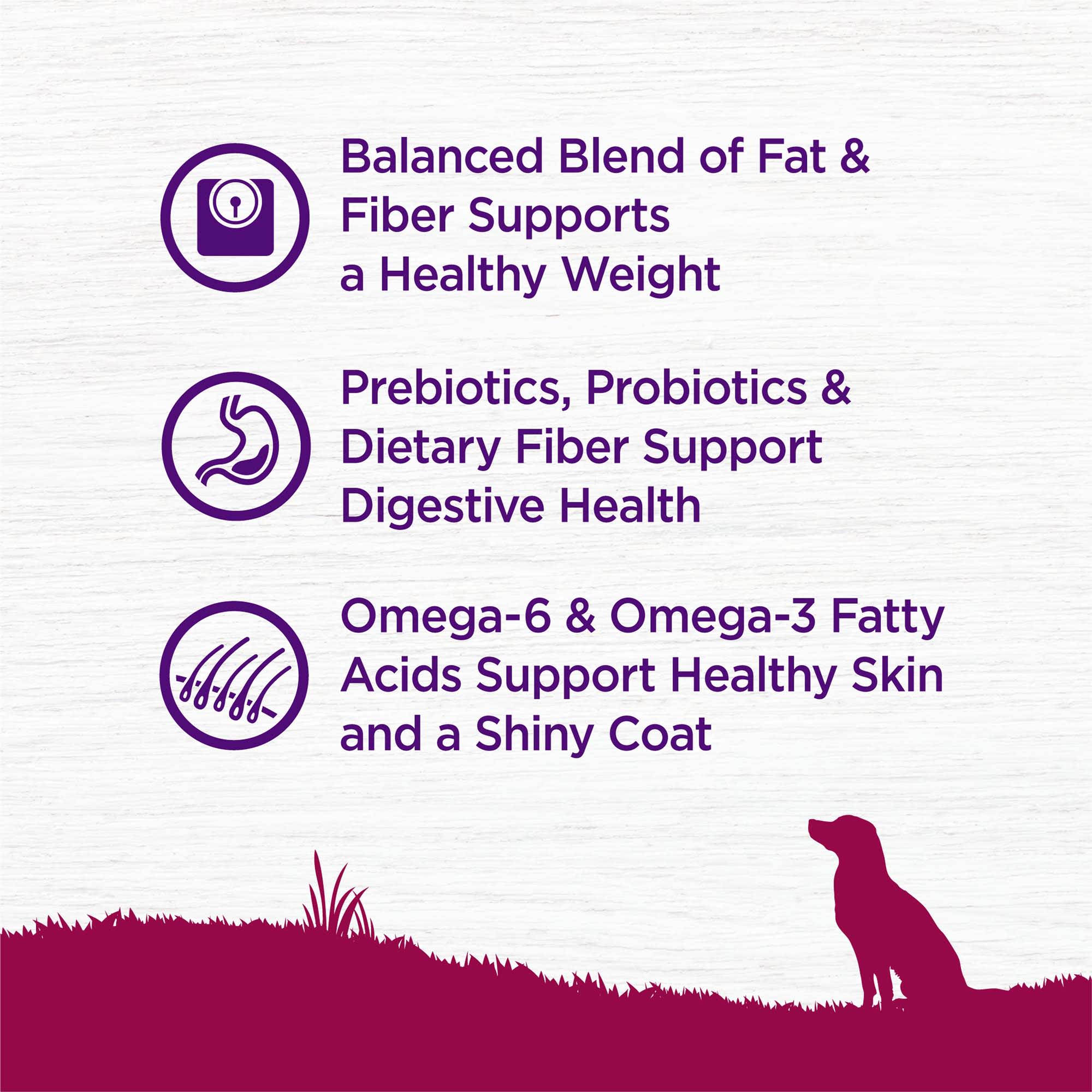 autarky wet dog food Mature Lite: Succulent Salmon