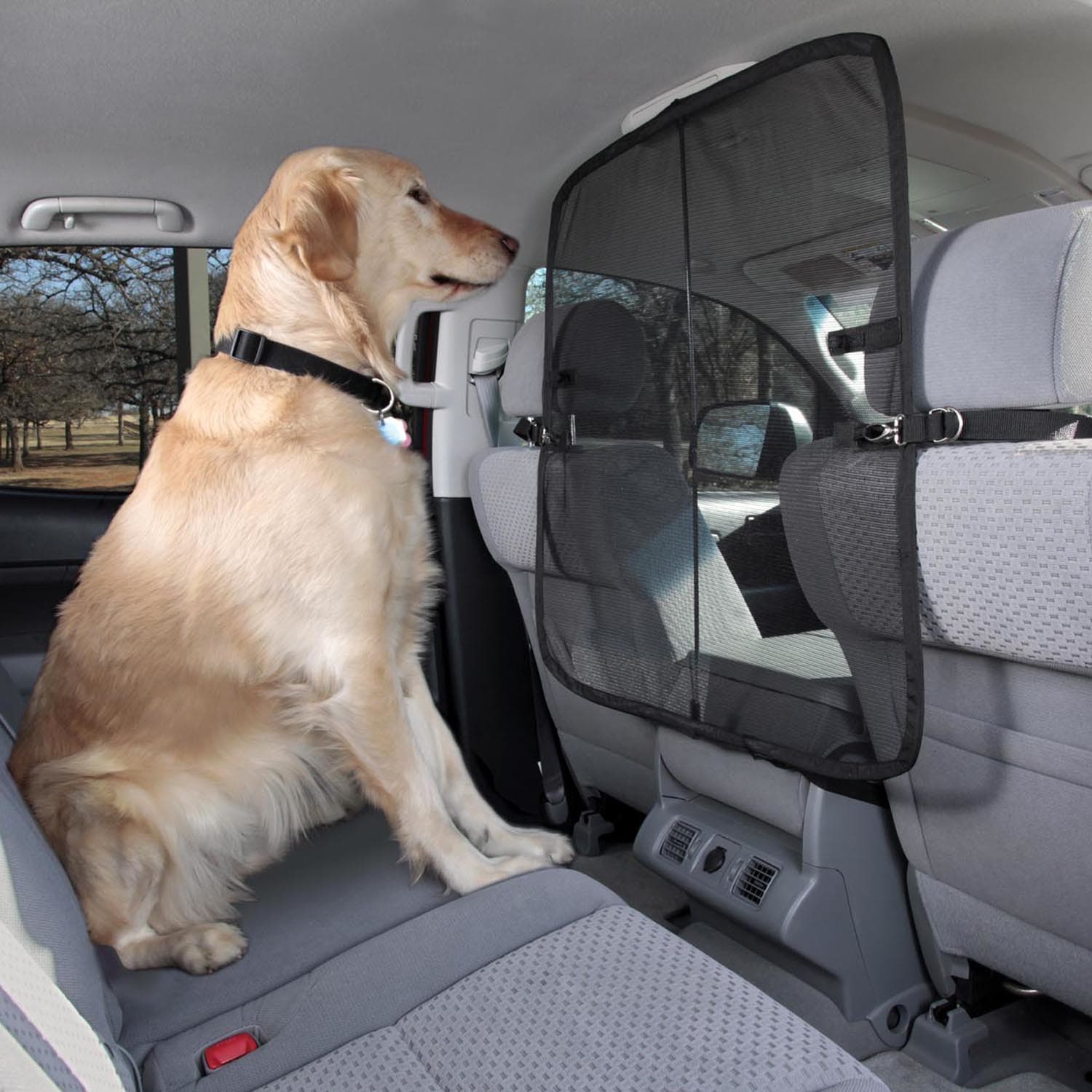 divider for car for dog