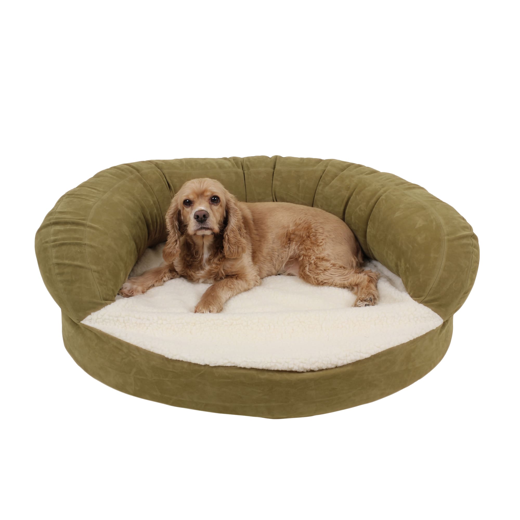 sage green dog bed