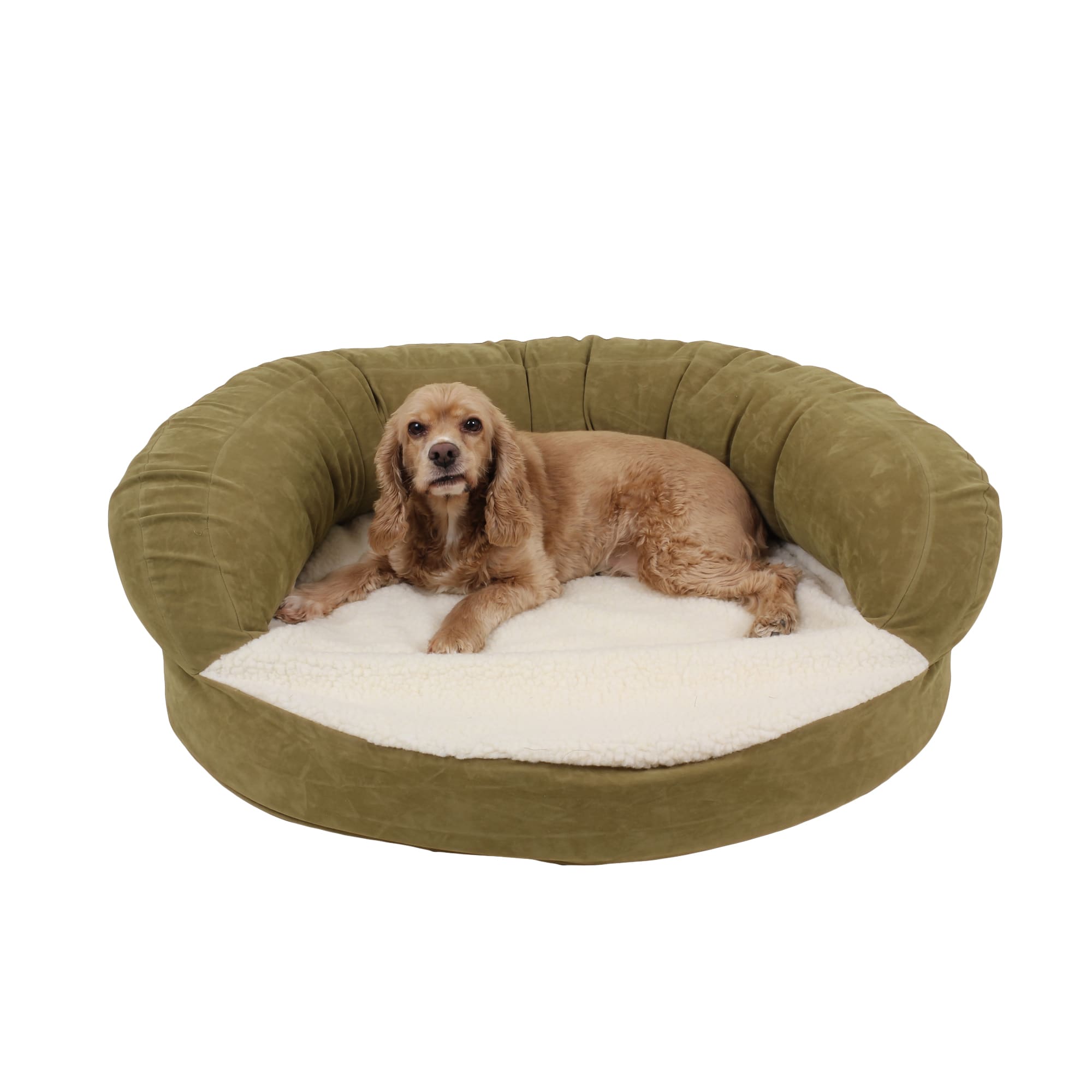 Carolina pet outlet company dog beds