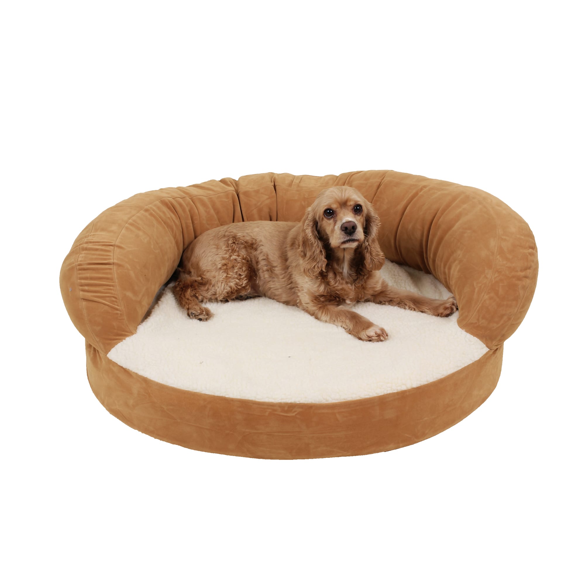 senior dog bed