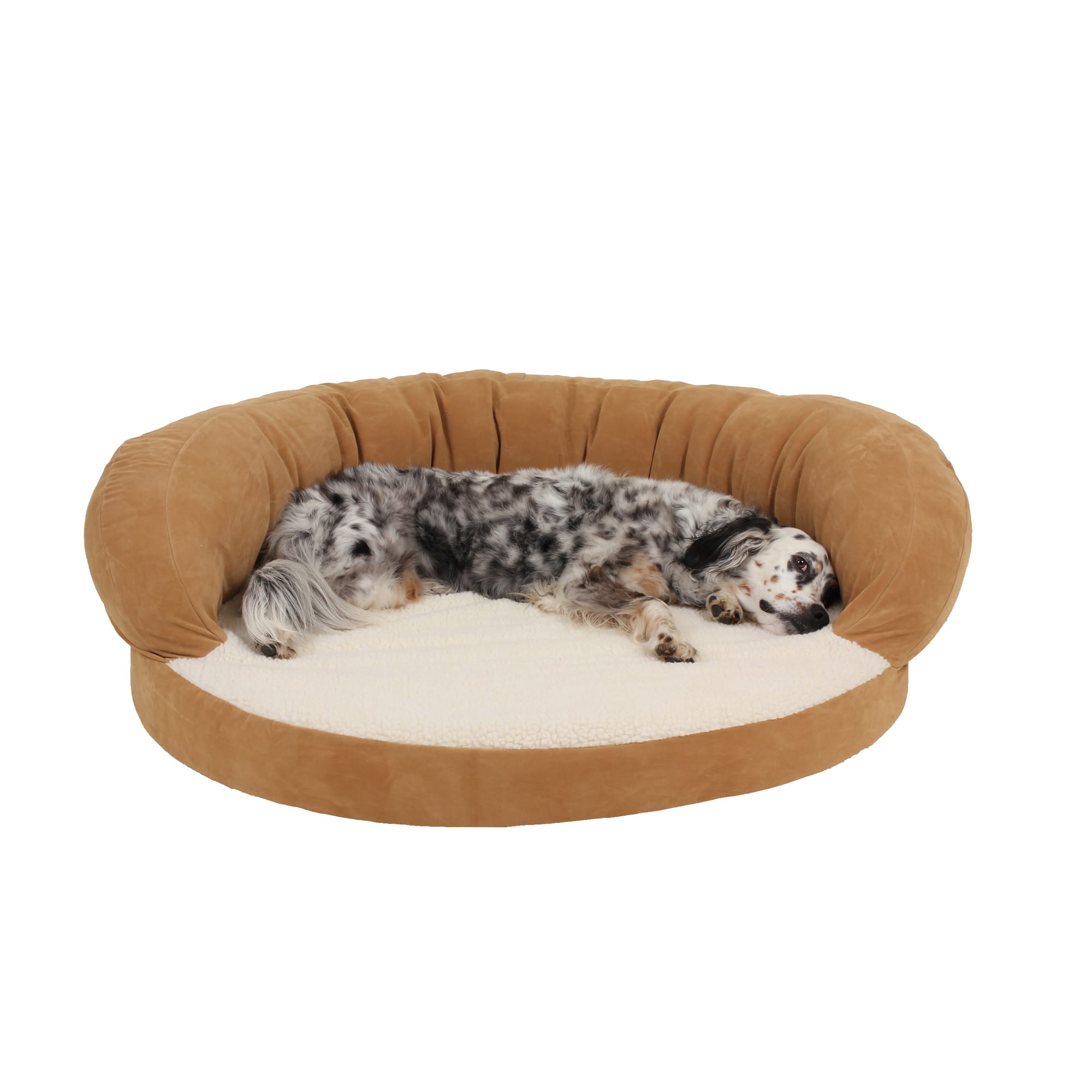 Carolina Pet Company Orthopedic Bolster Dog Bed, 42 L X 12 W X 12 H, Caramel, Medium, Brown