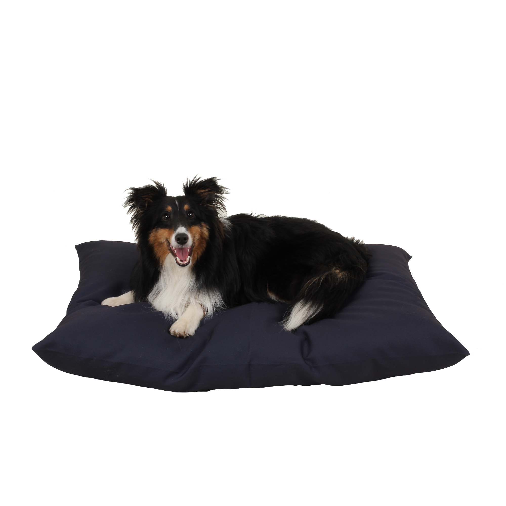 Carolina Pet Company Indoor Outdoor Shebang Dog Bed, 36 L X 27 W X 4 H, Blue, Small